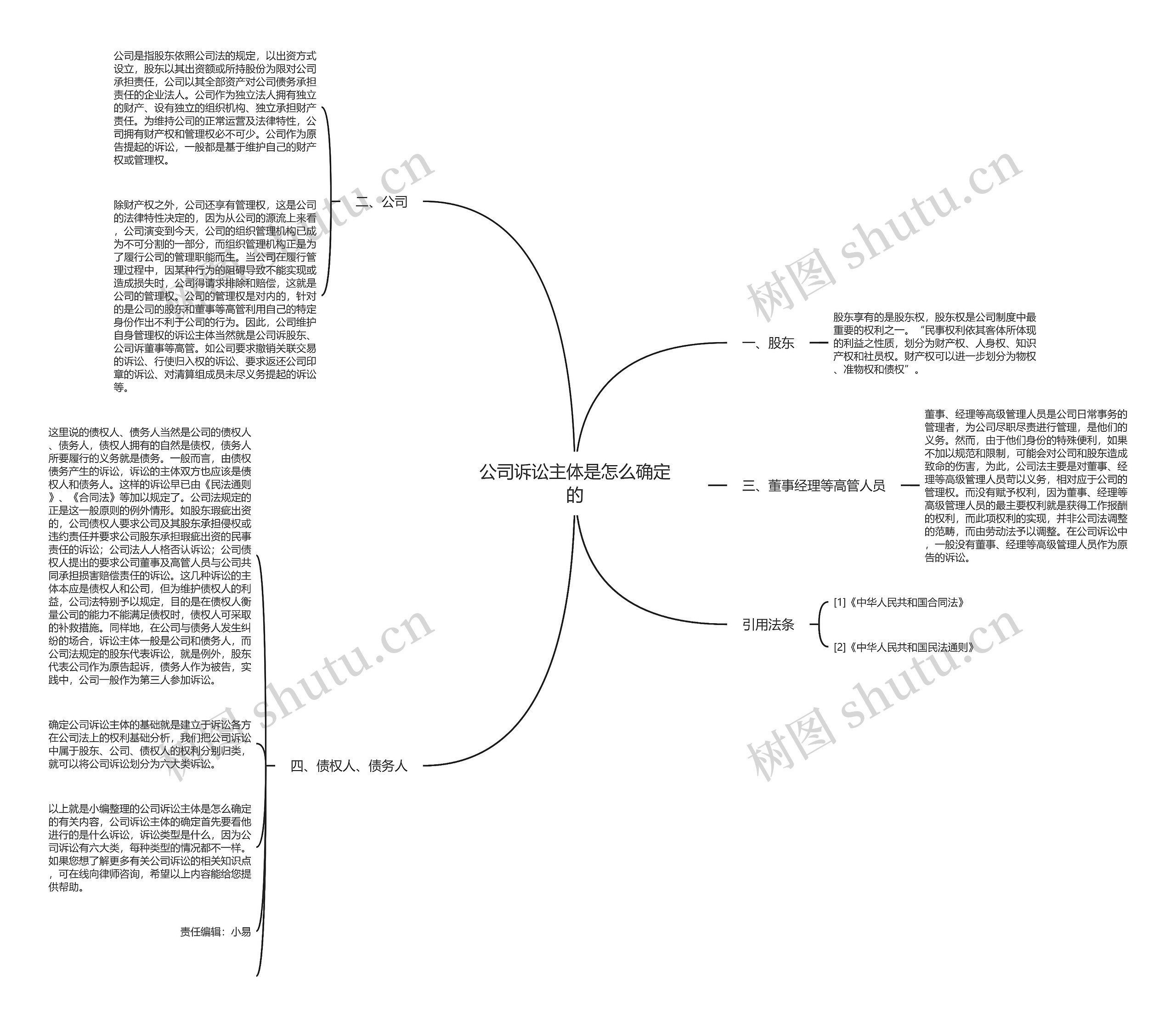 公司诉讼主体是怎么确定的思维导图