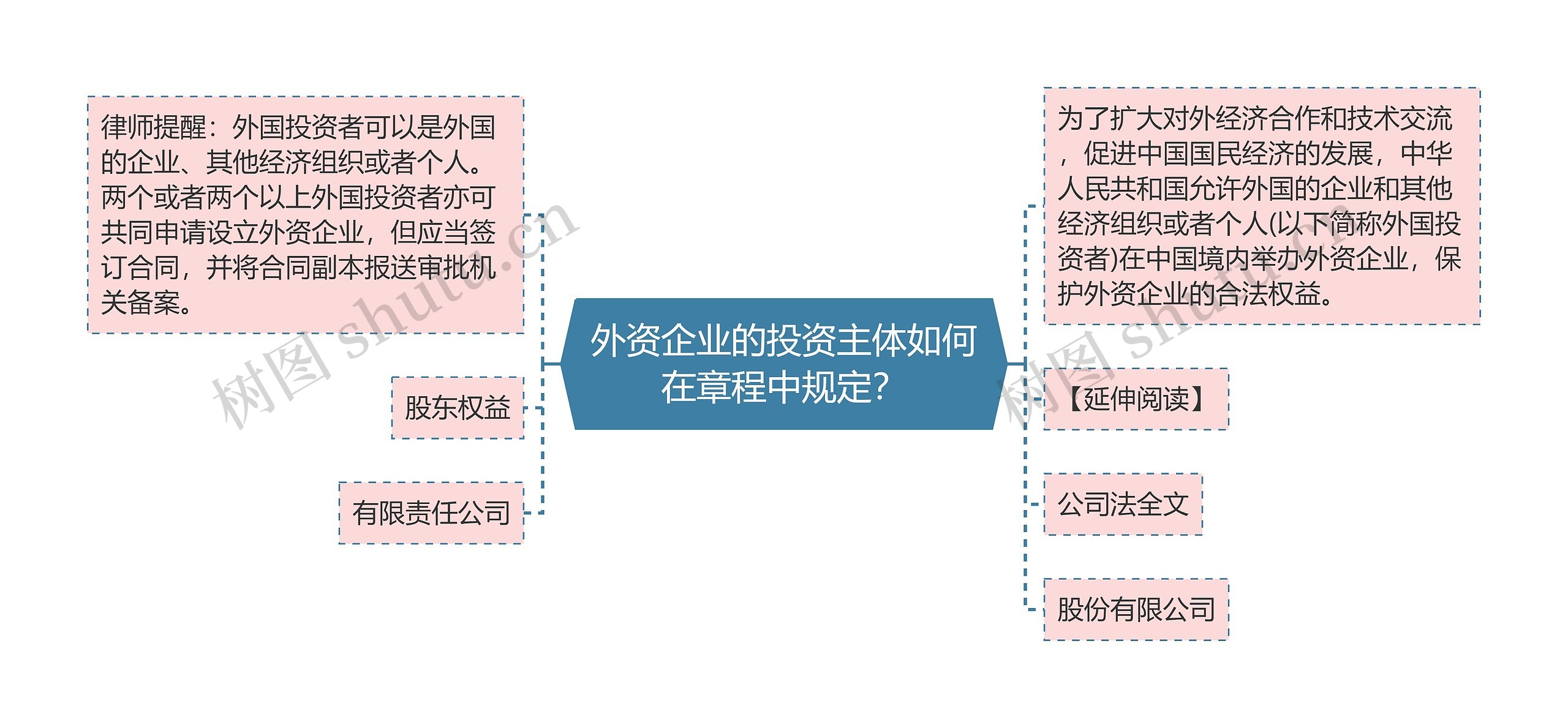 外资企业的投资主体如何在章程中规定？思维导图