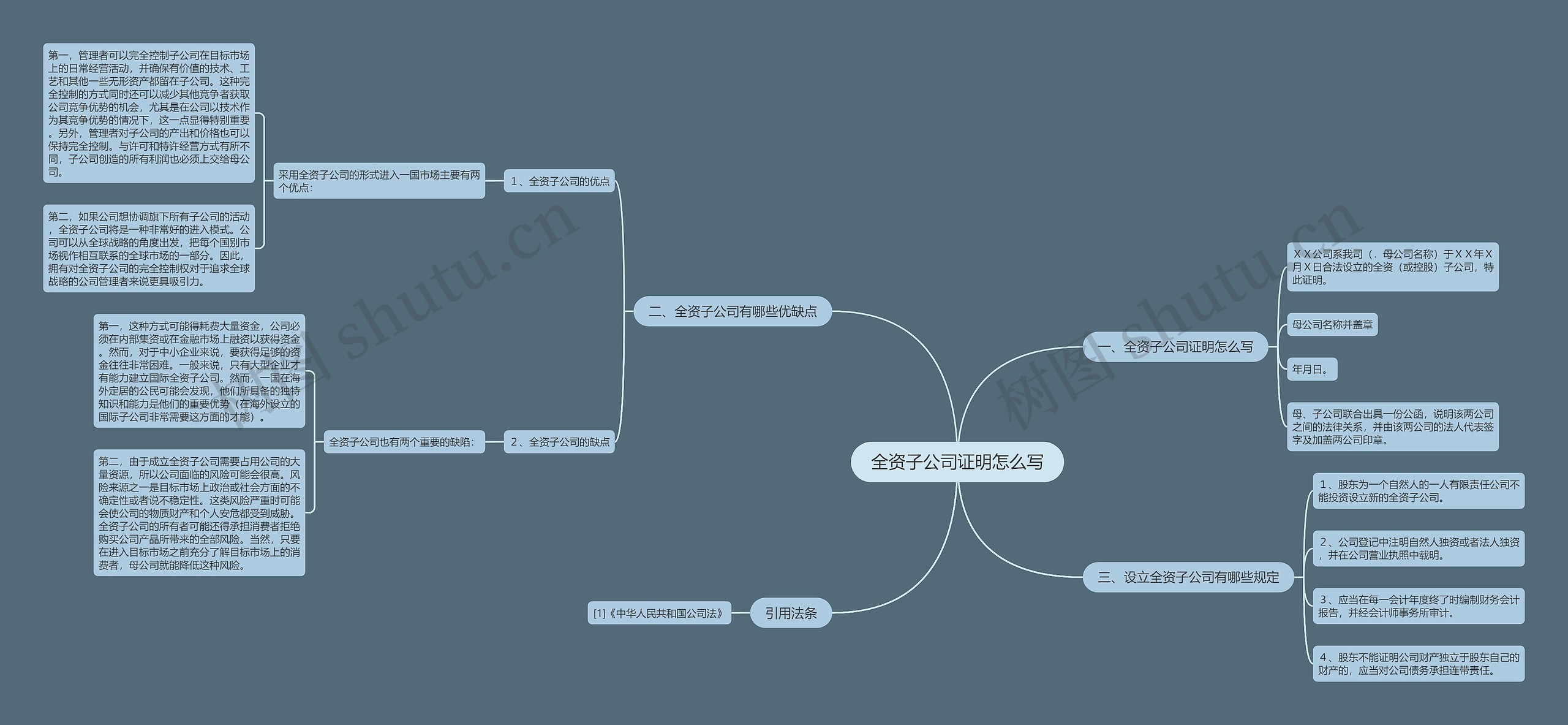 全资子公司证明怎么写