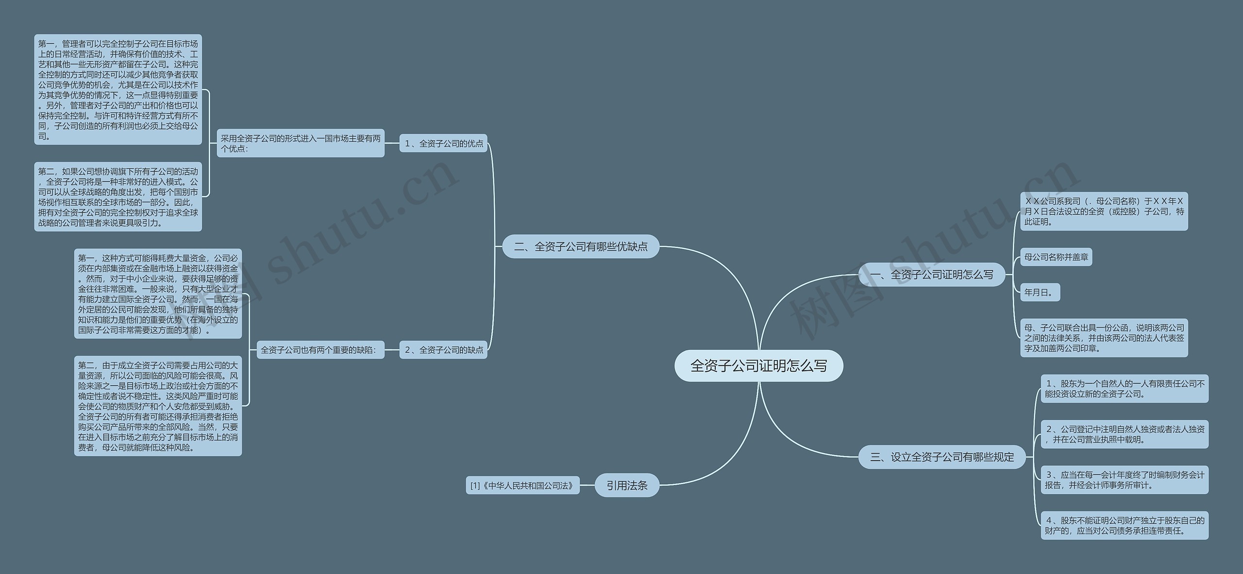 全资子公司证明怎么写