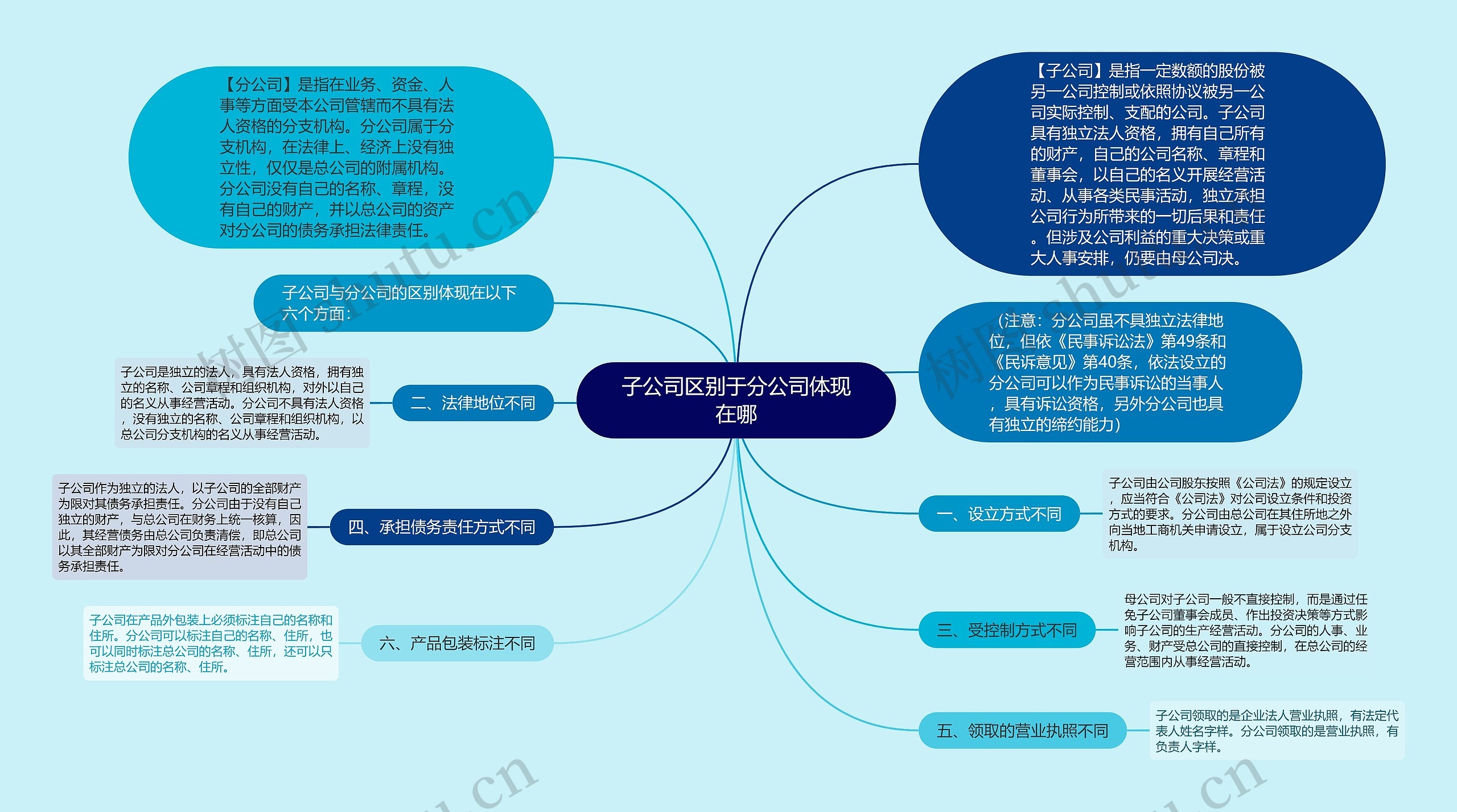 子公司区别于分公司体现在哪思维导图