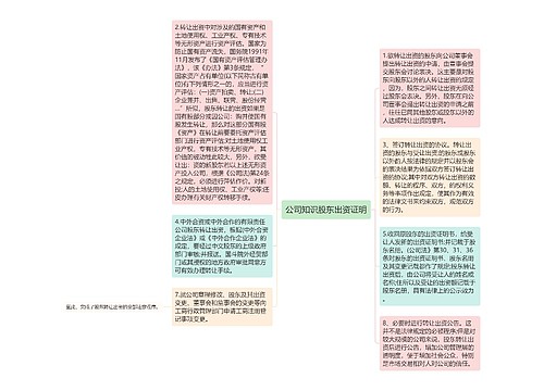 公司知识股东出资证明