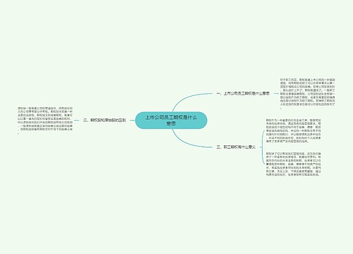 上市公司员工期权是什么意思