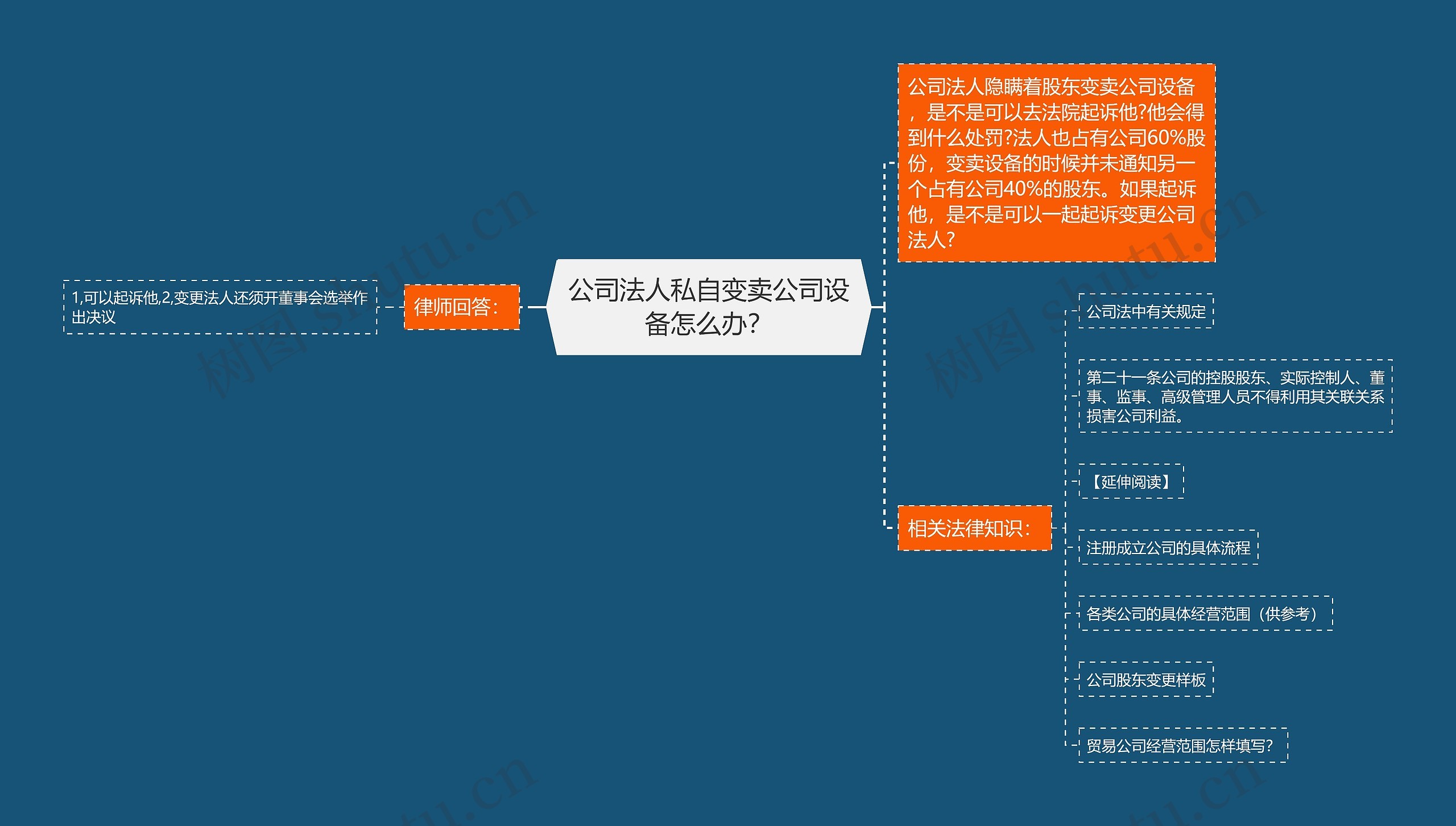 公司法人私自变卖公司设备怎么办？思维导图