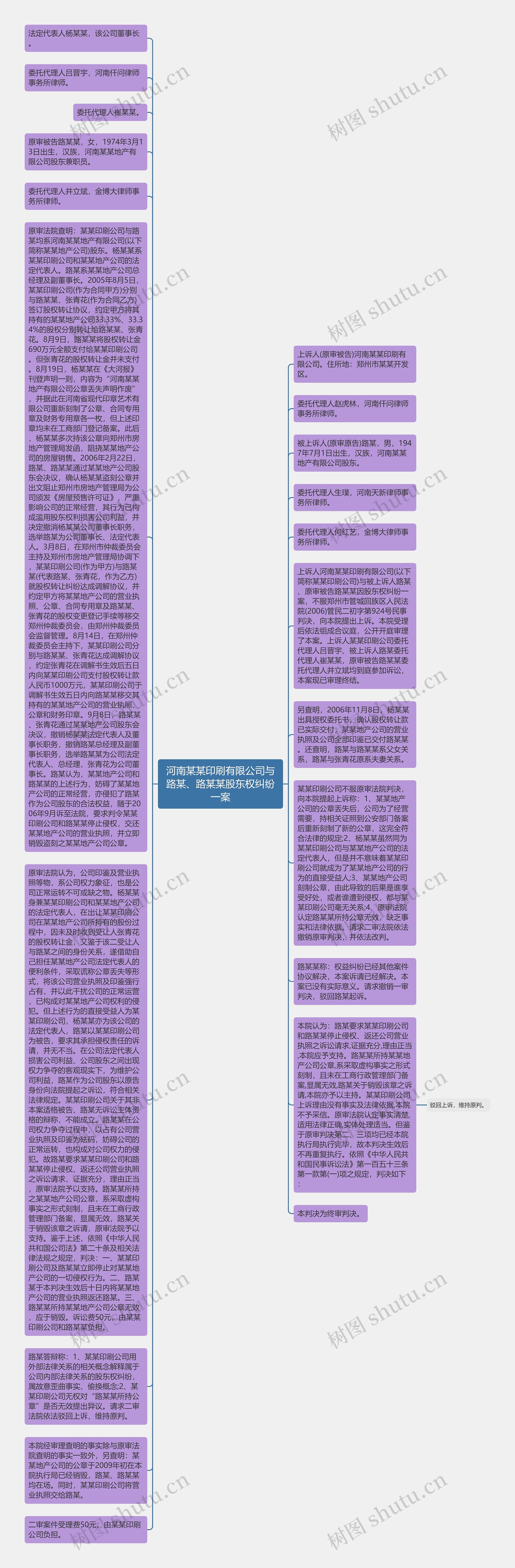 河南某某印刷有限公司与路某、路某某股东权纠纷一案思维导图