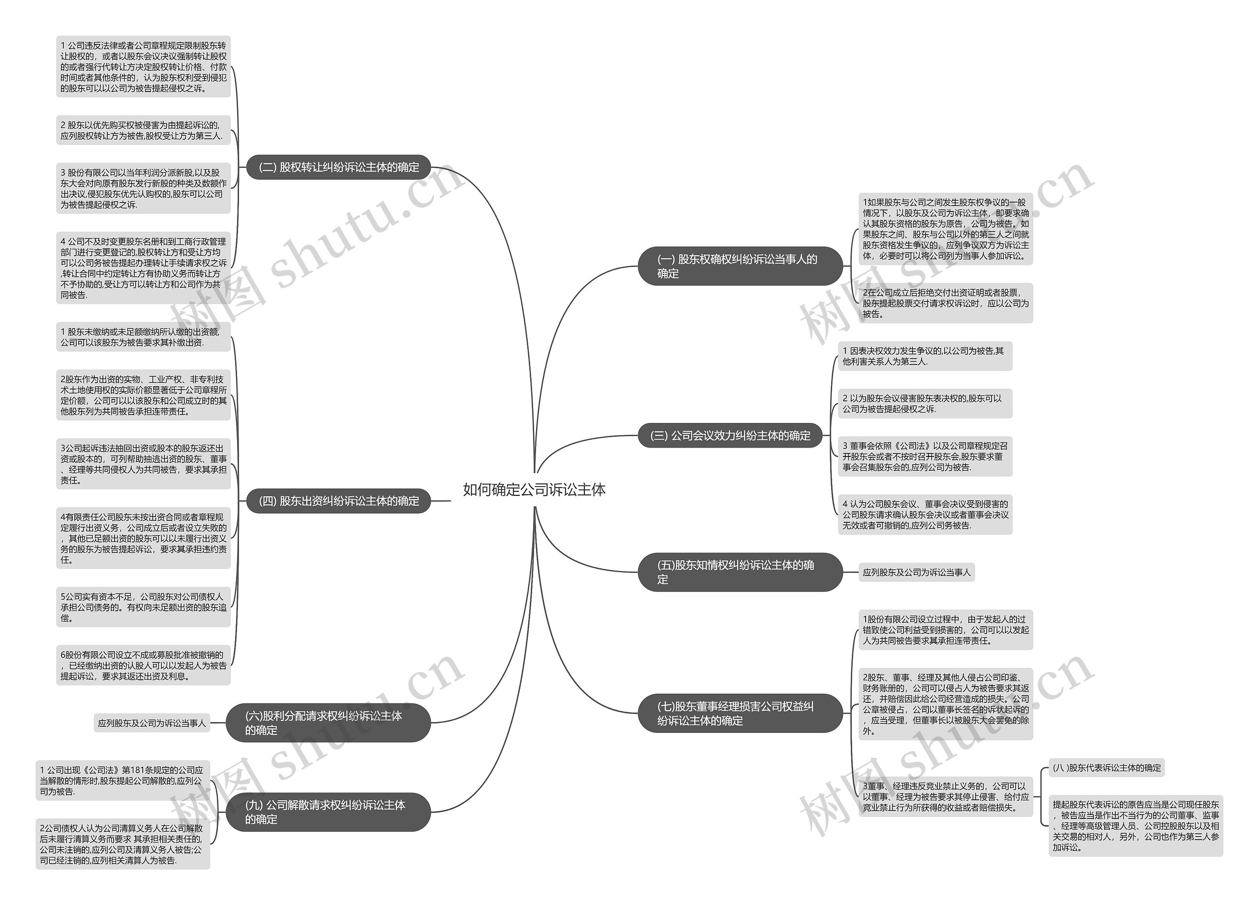如何确定公司诉讼主体思维导图