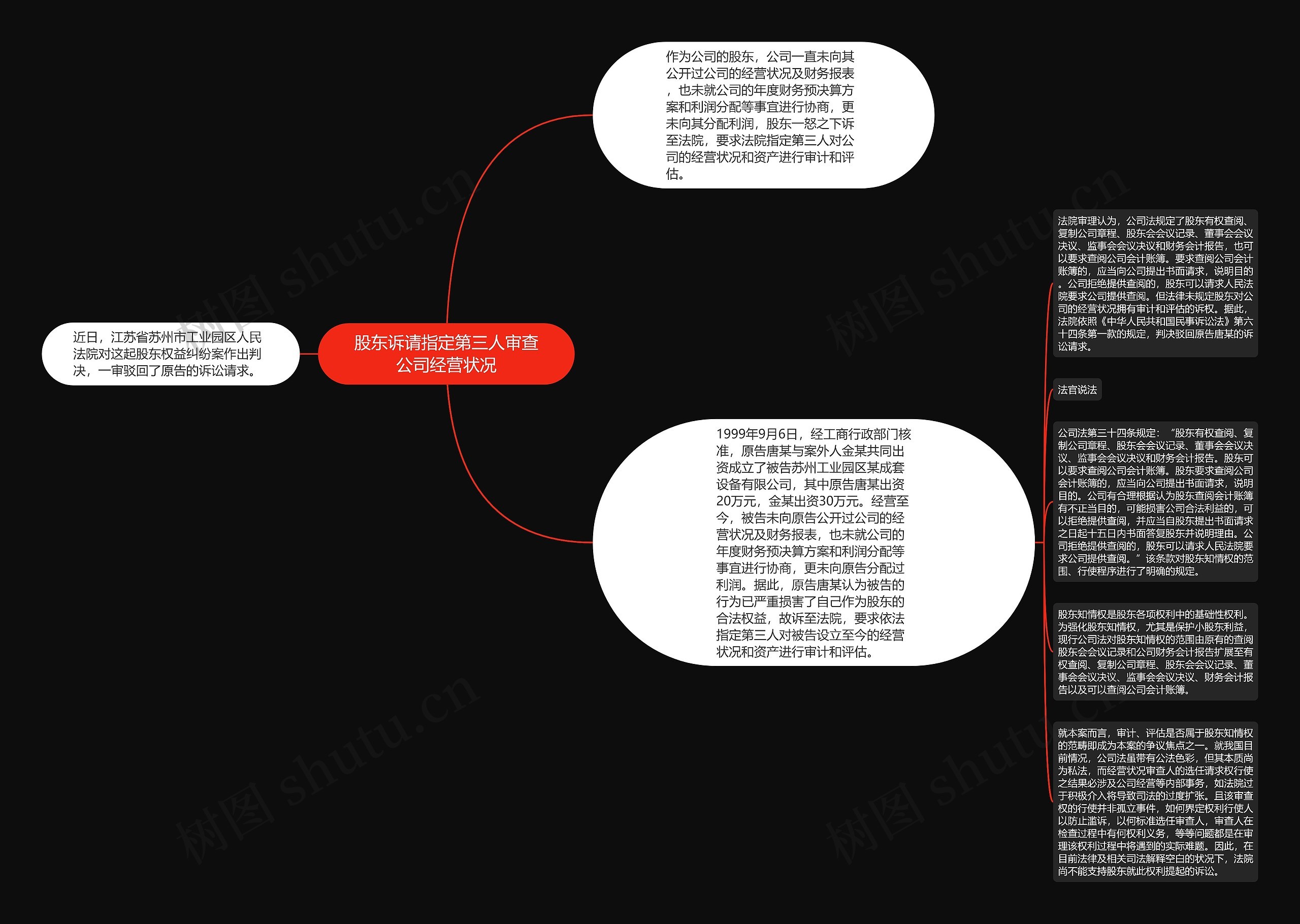 股东诉请指定第三人审查公司经营状况思维导图