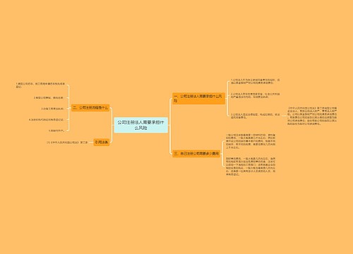 公司注册法人需要承担什么风险