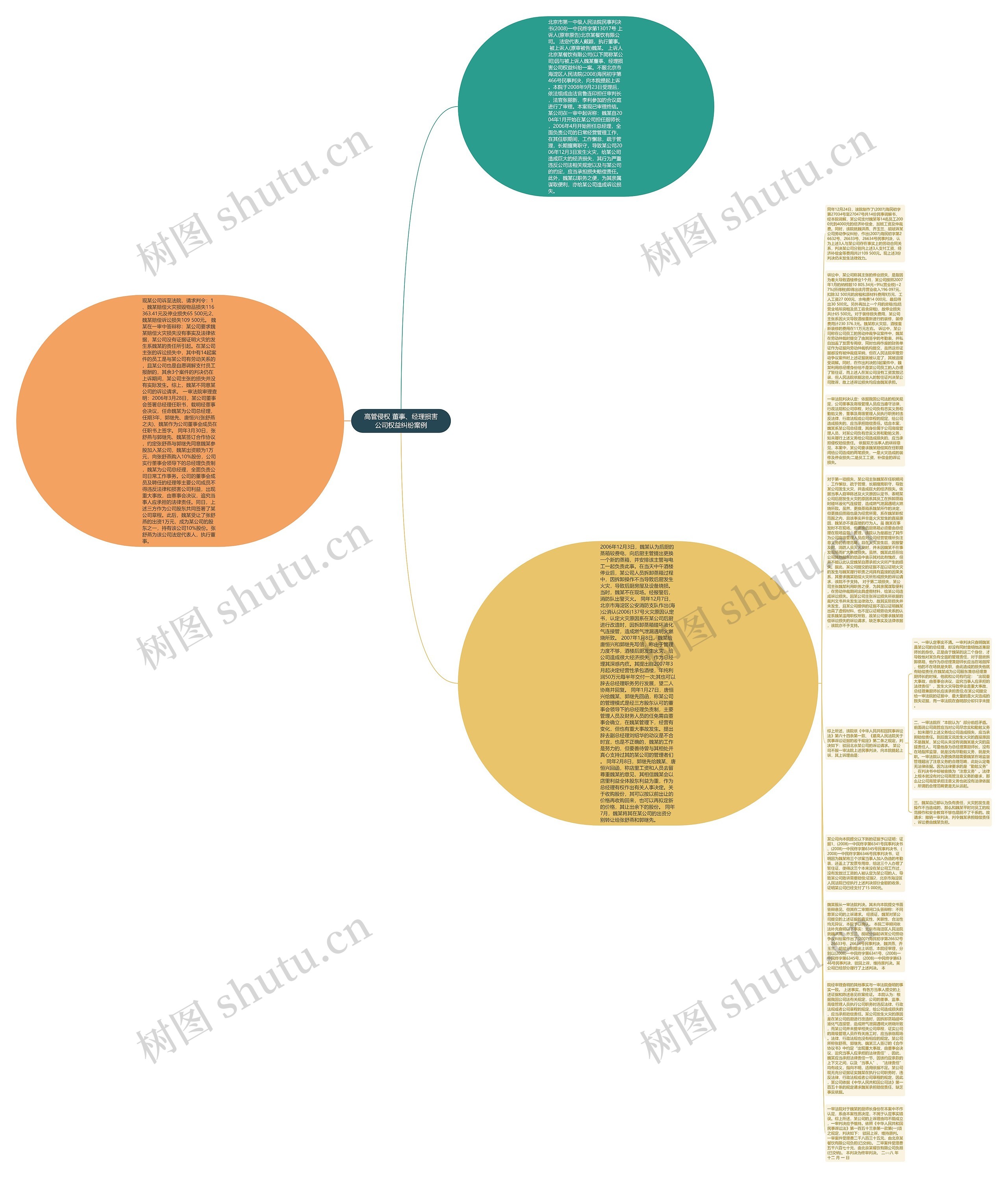 高管侵权 董事、经理损害公司权益纠纷案例思维导图