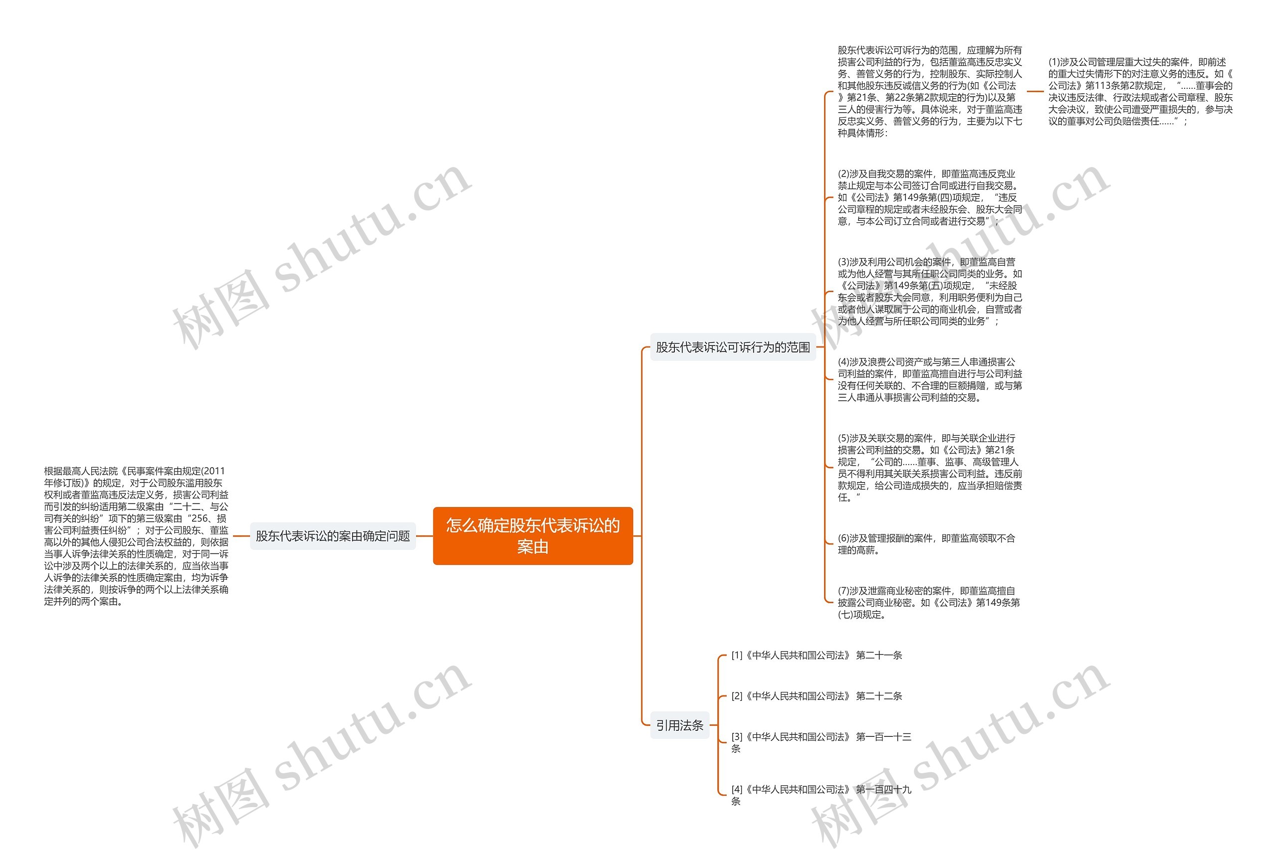 怎么确定股东代表诉讼的案由思维导图