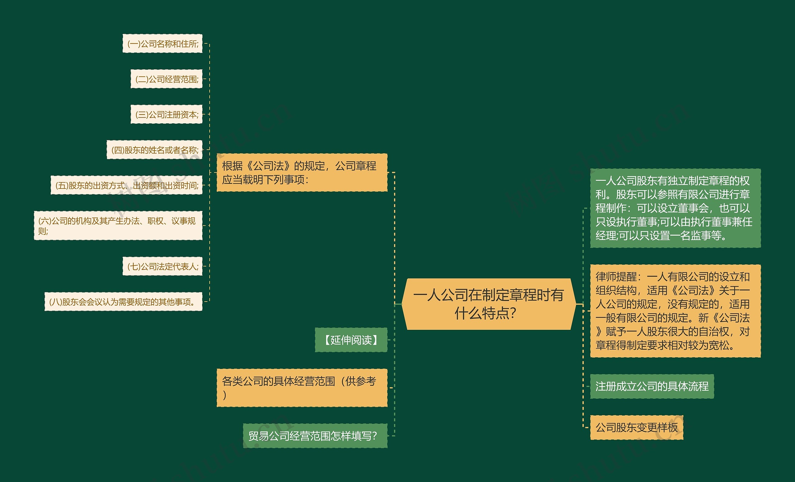 一人公司在制定章程时有什么特点？