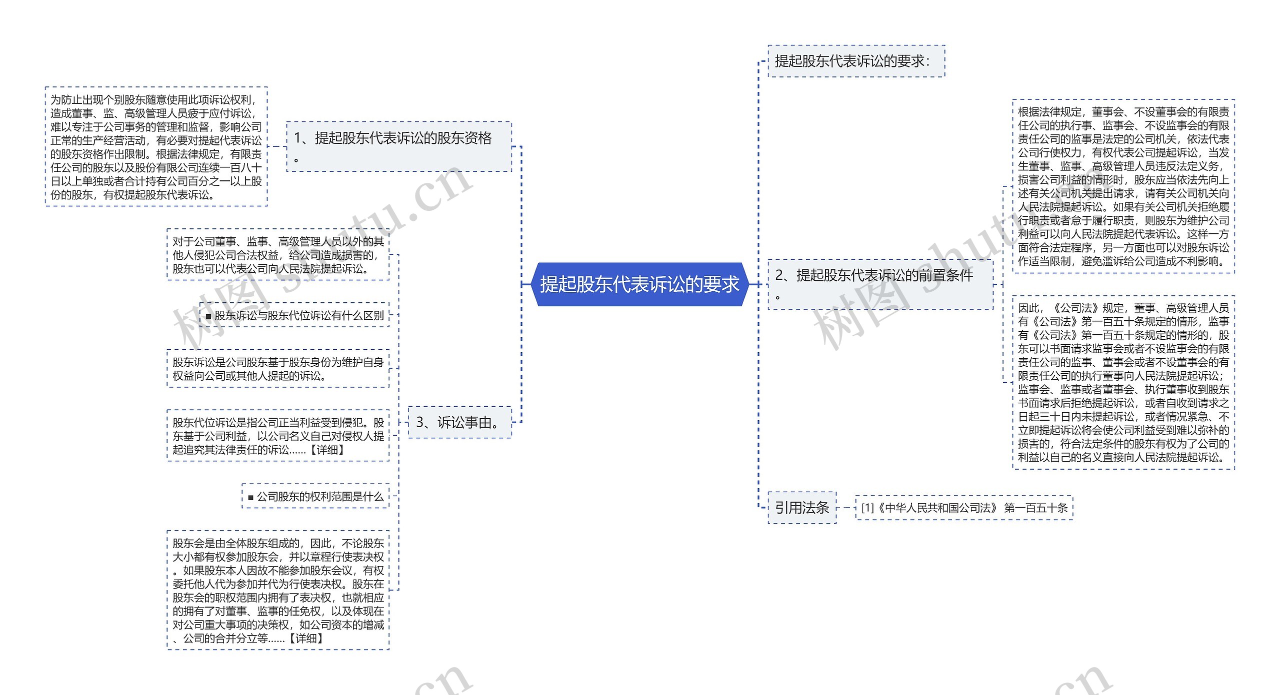 提起股东代表诉讼的要求