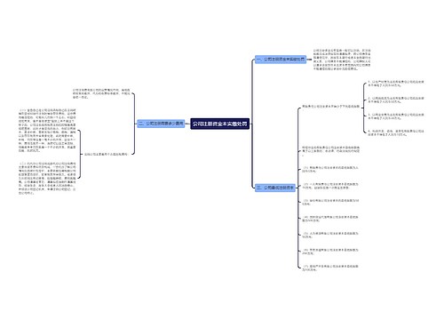 公司注册资金未实缴处罚