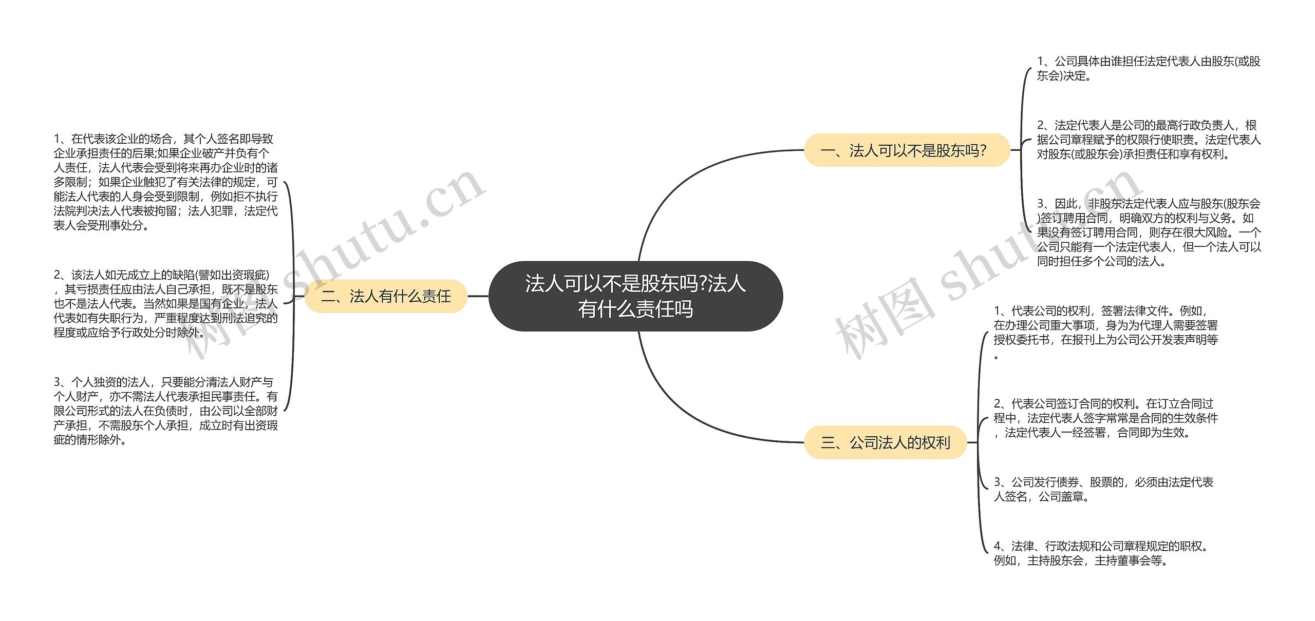 法人可以不是股东吗?法人有什么责任吗思维导图