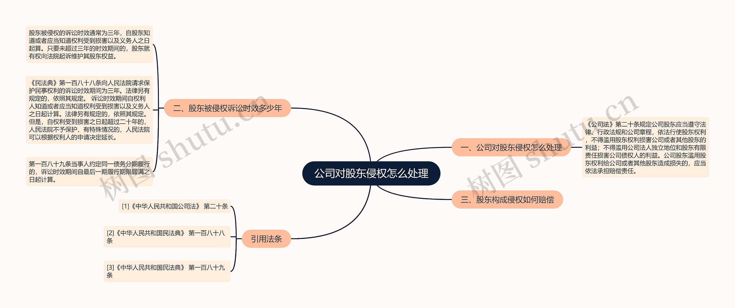 公司对股东侵权怎么处理思维导图