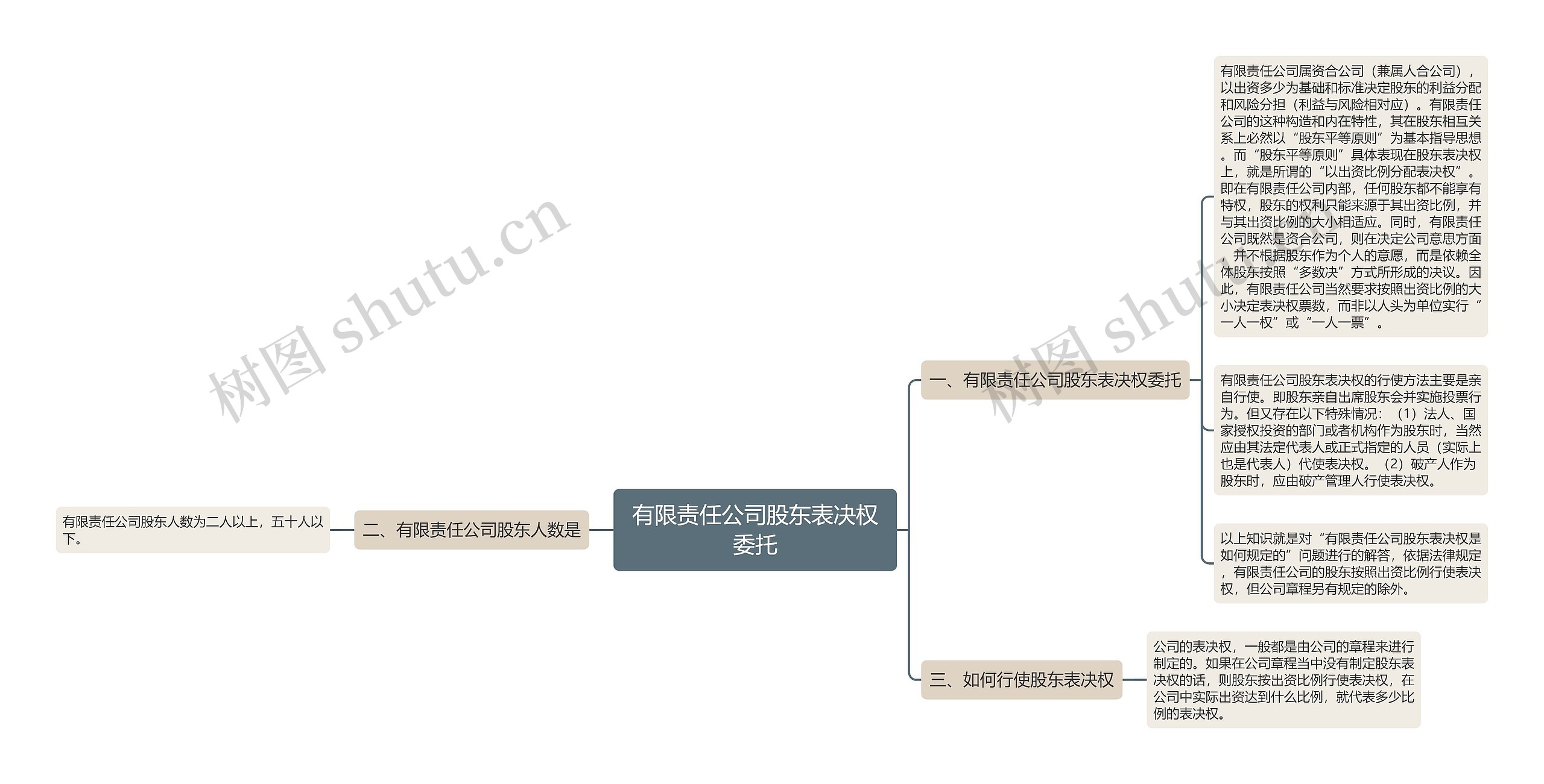 有限责任公司股东表决权委托思维导图