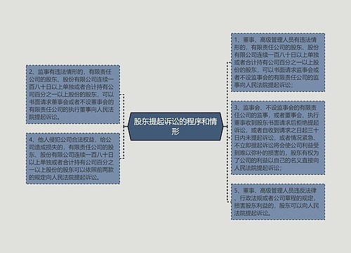 股东提起诉讼的程序和情形