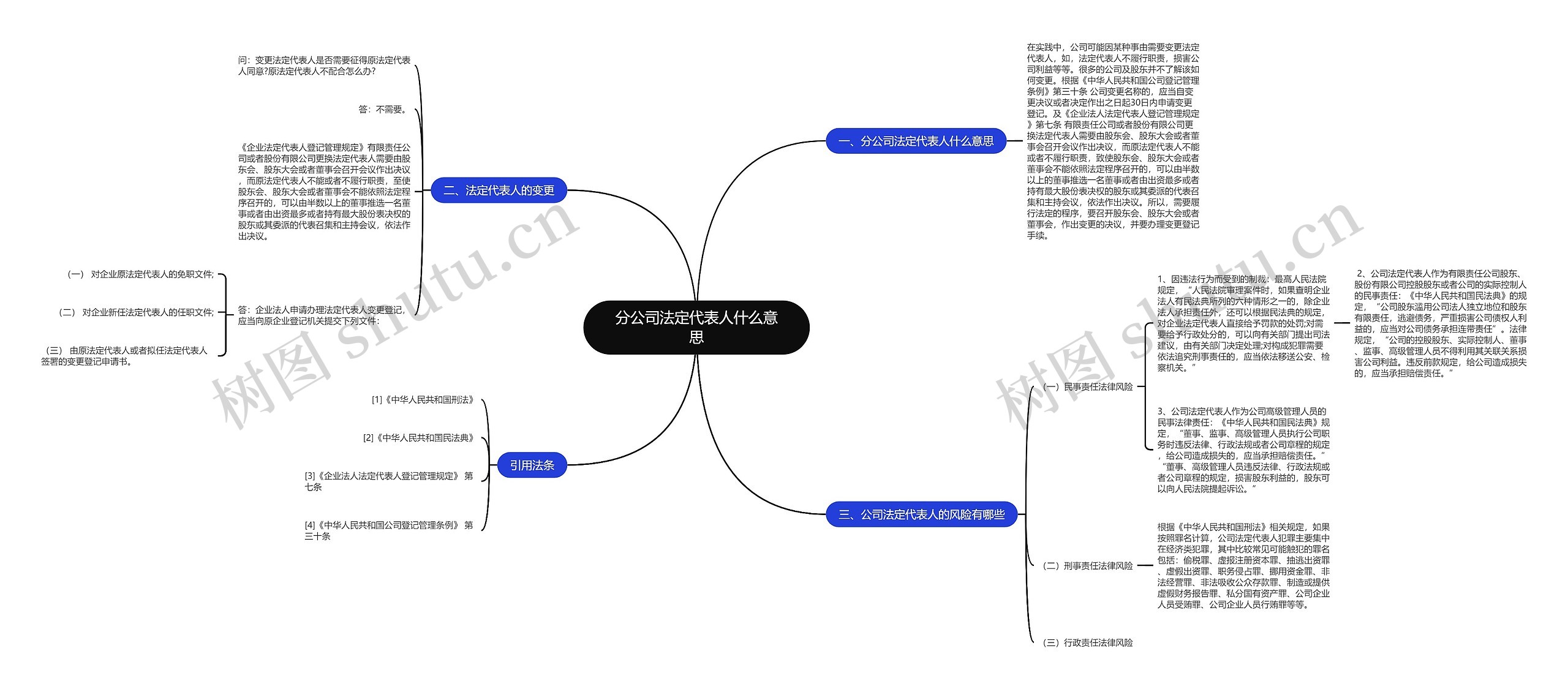 分公司法定代表人什么意思