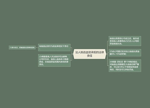 法人抽逃出资承担的法律责任