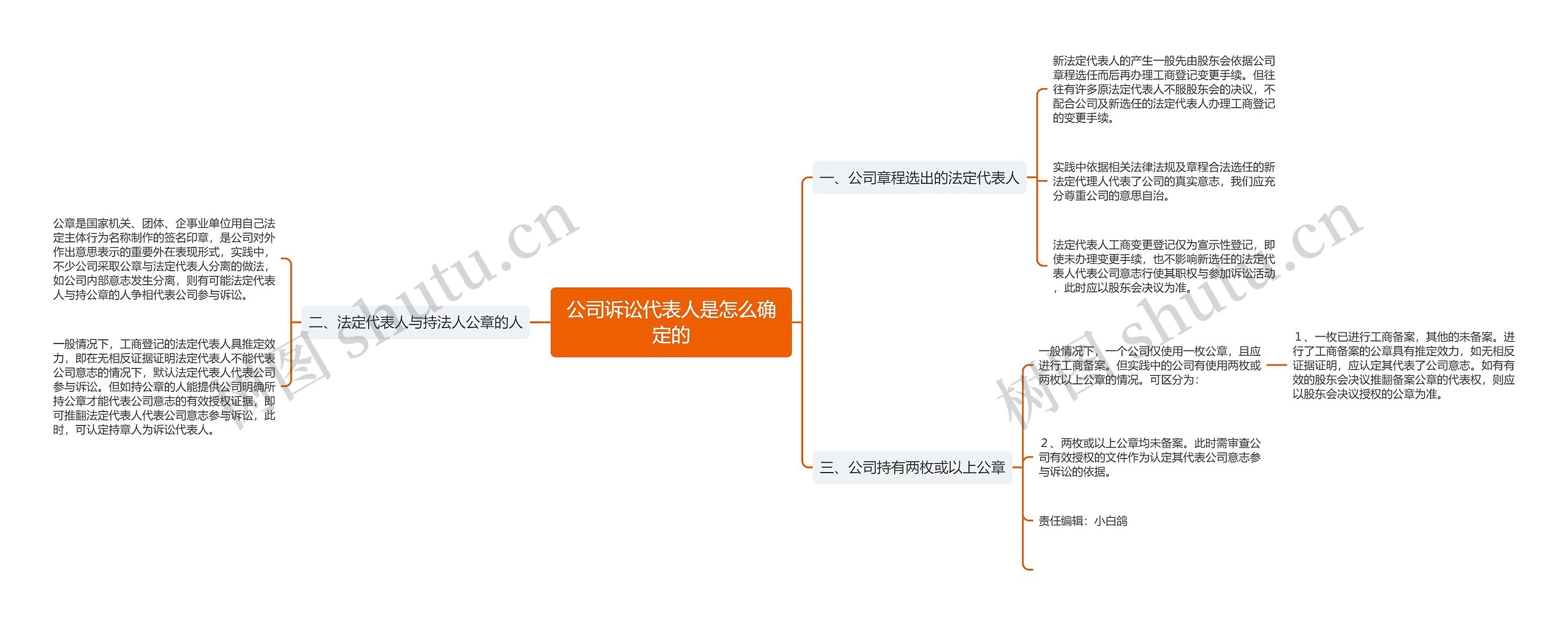 公司诉讼代表人是怎么确定的思维导图