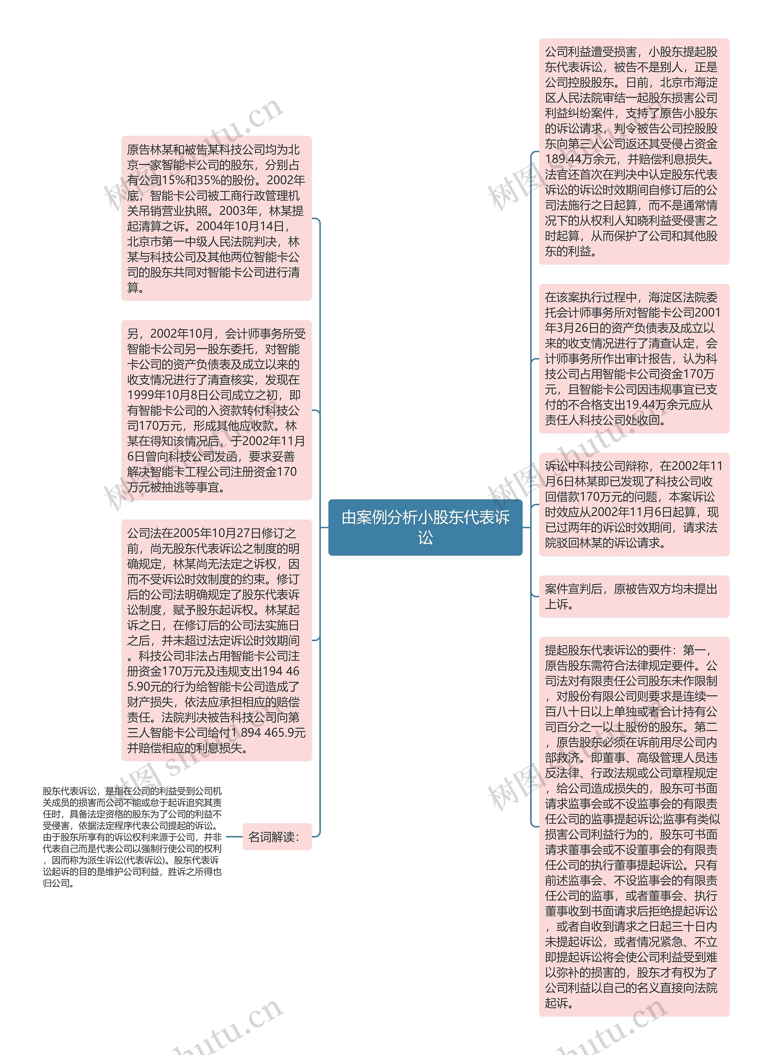 由案例分析小股东代表诉讼思维导图