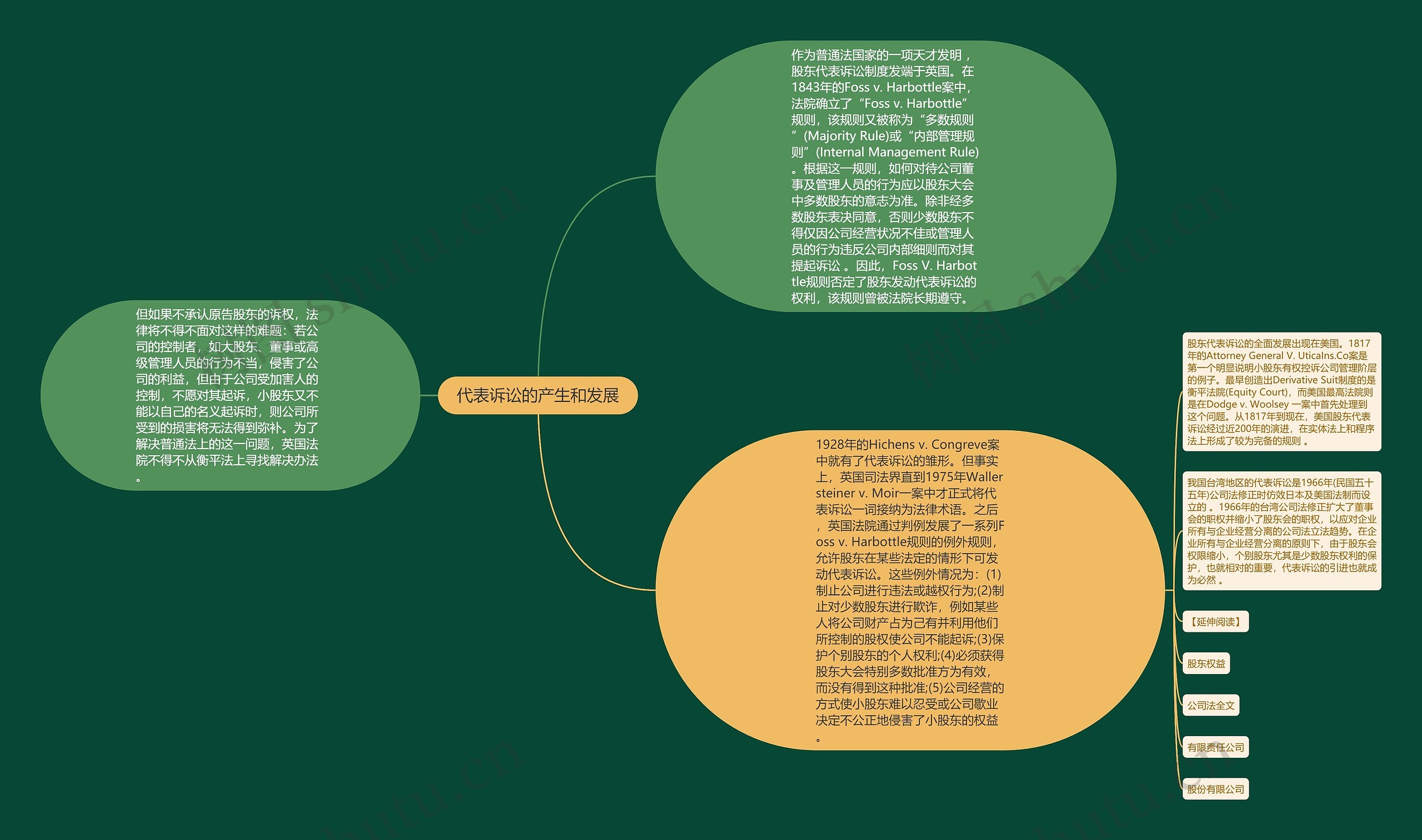 代表诉讼的产生和发展思维导图