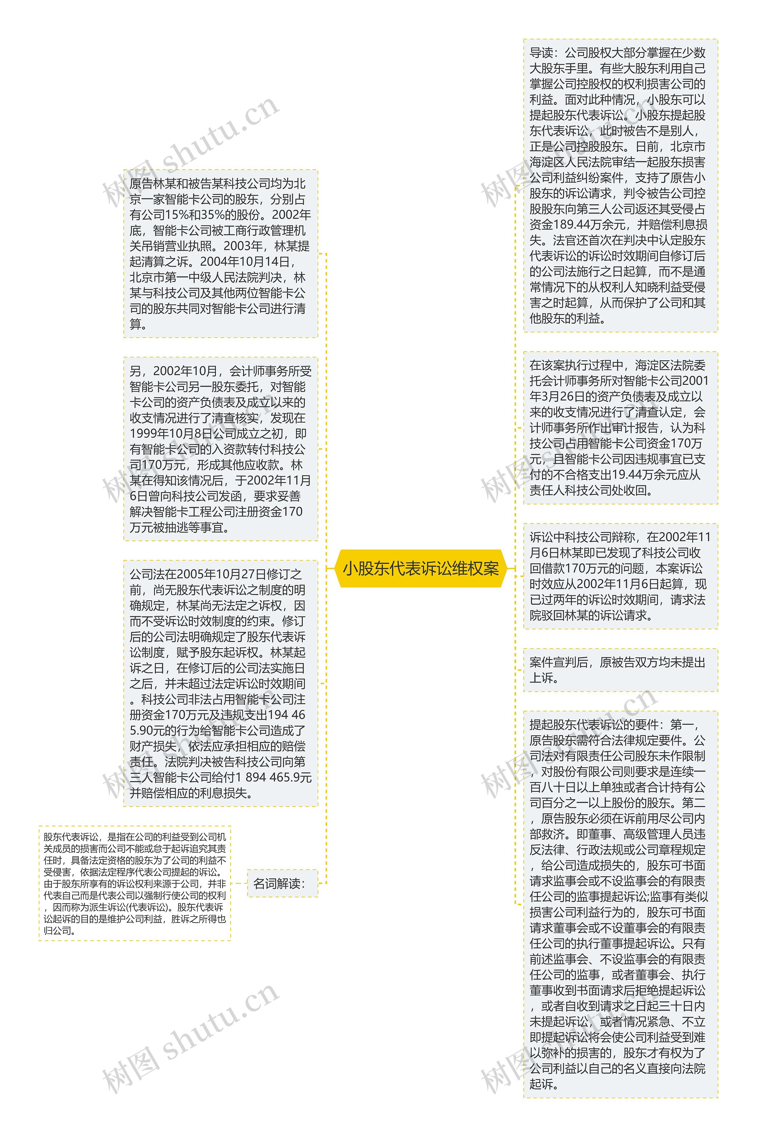 小股东代表诉讼维权案思维导图