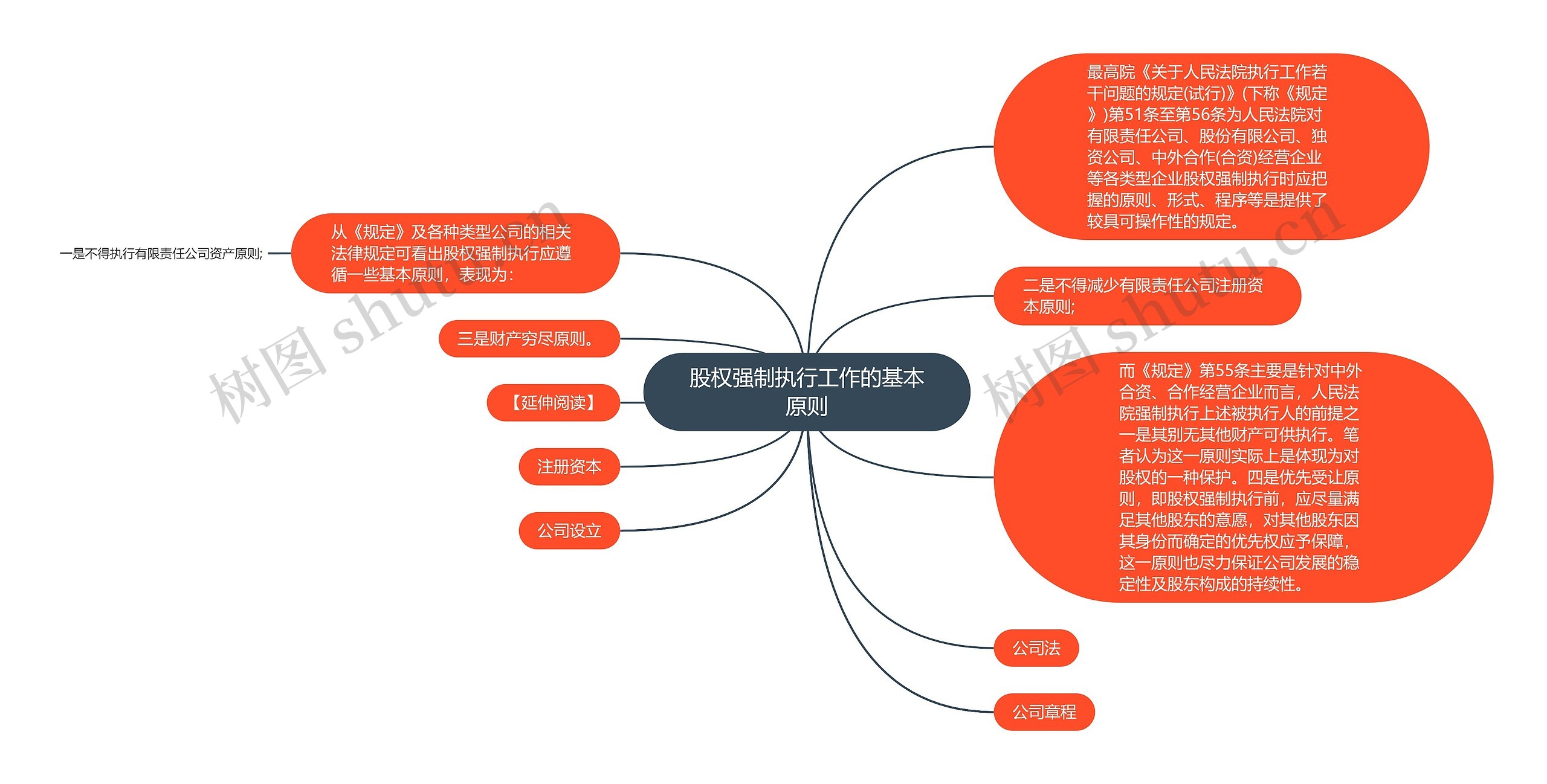 股权强制执行工作的基本原则思维导图