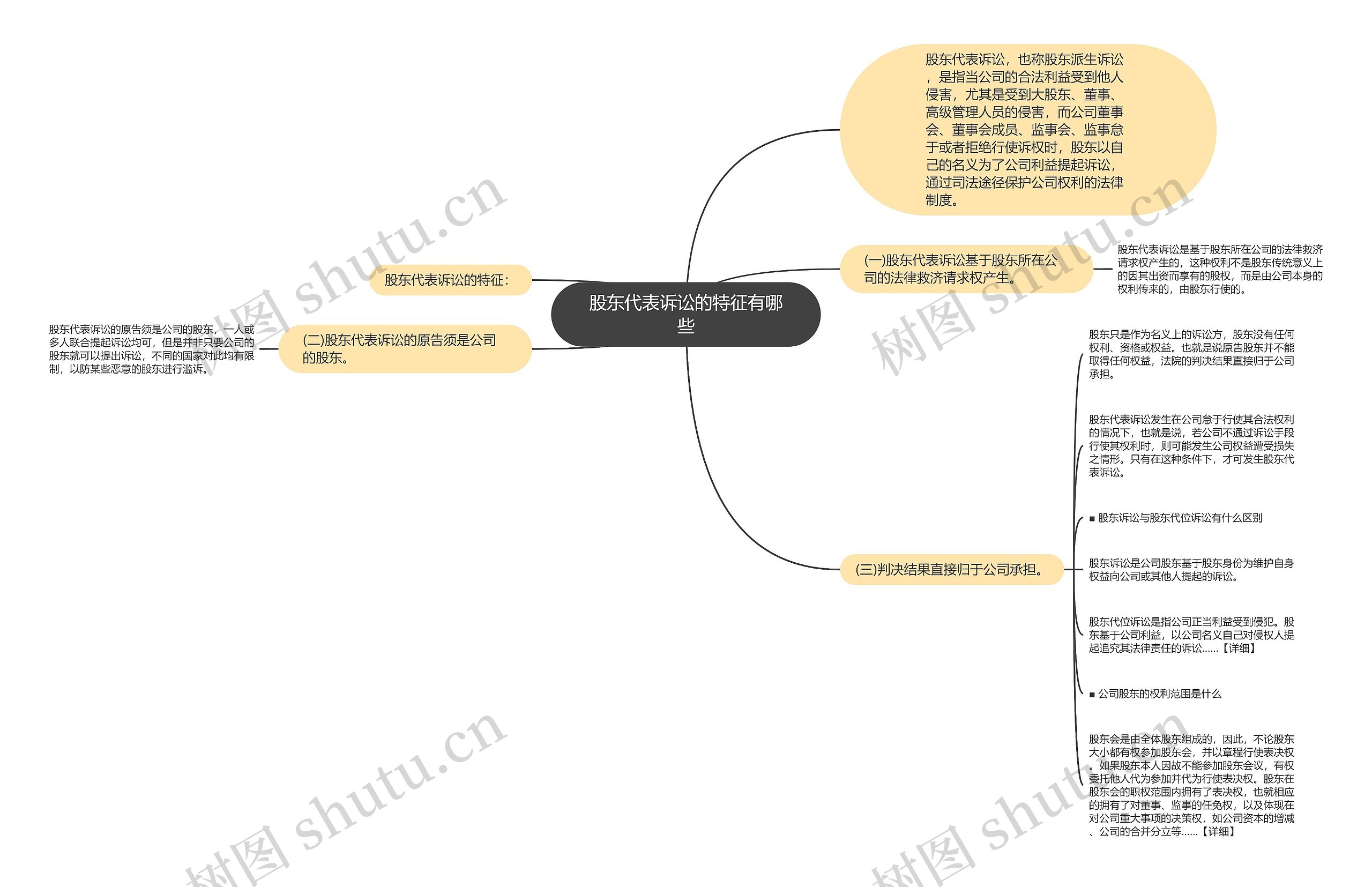 股东代表诉讼的特征有哪些思维导图