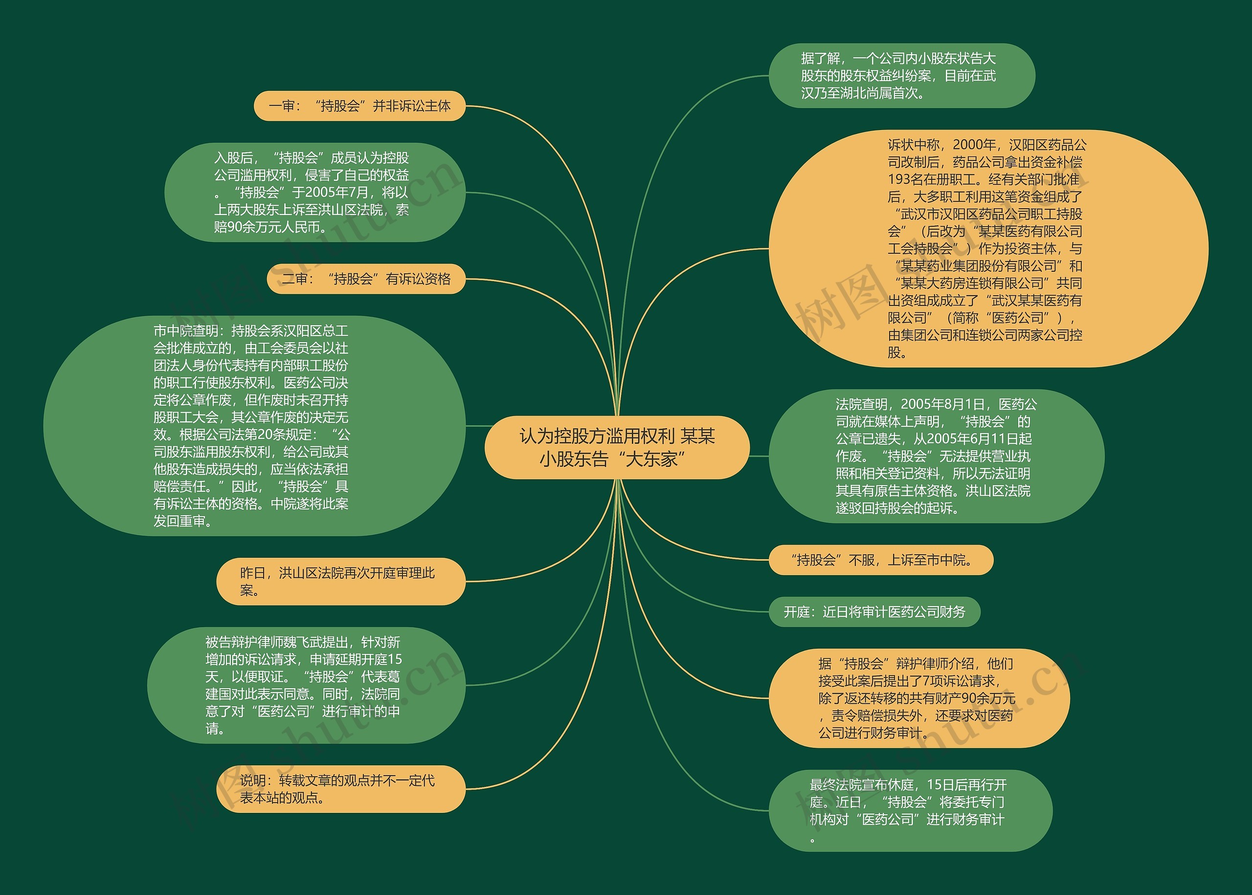 认为控股方滥用权利 某某小股东告“大东家”