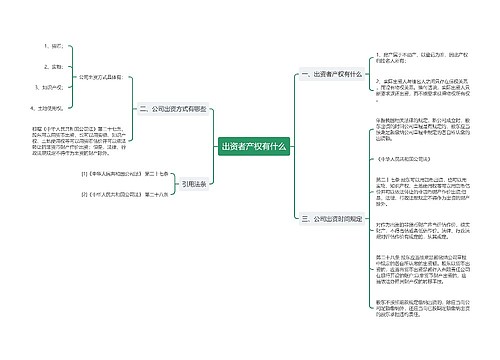 出资者产权有什么