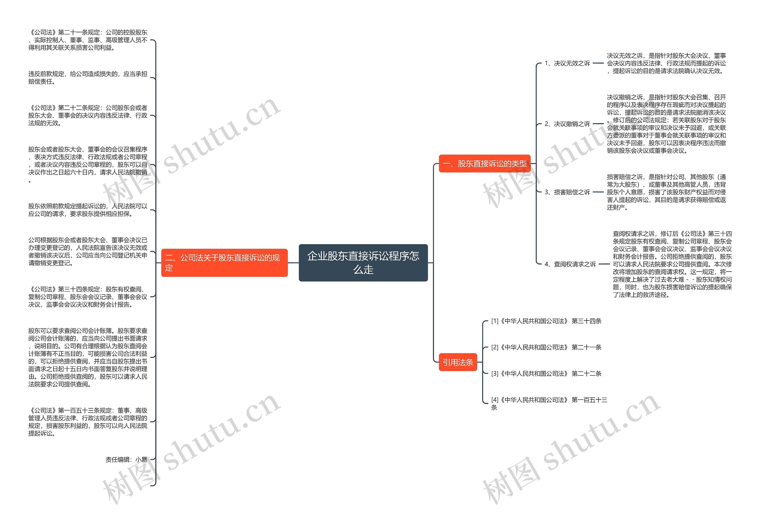 企业股东直接诉讼程序怎么走思维导图