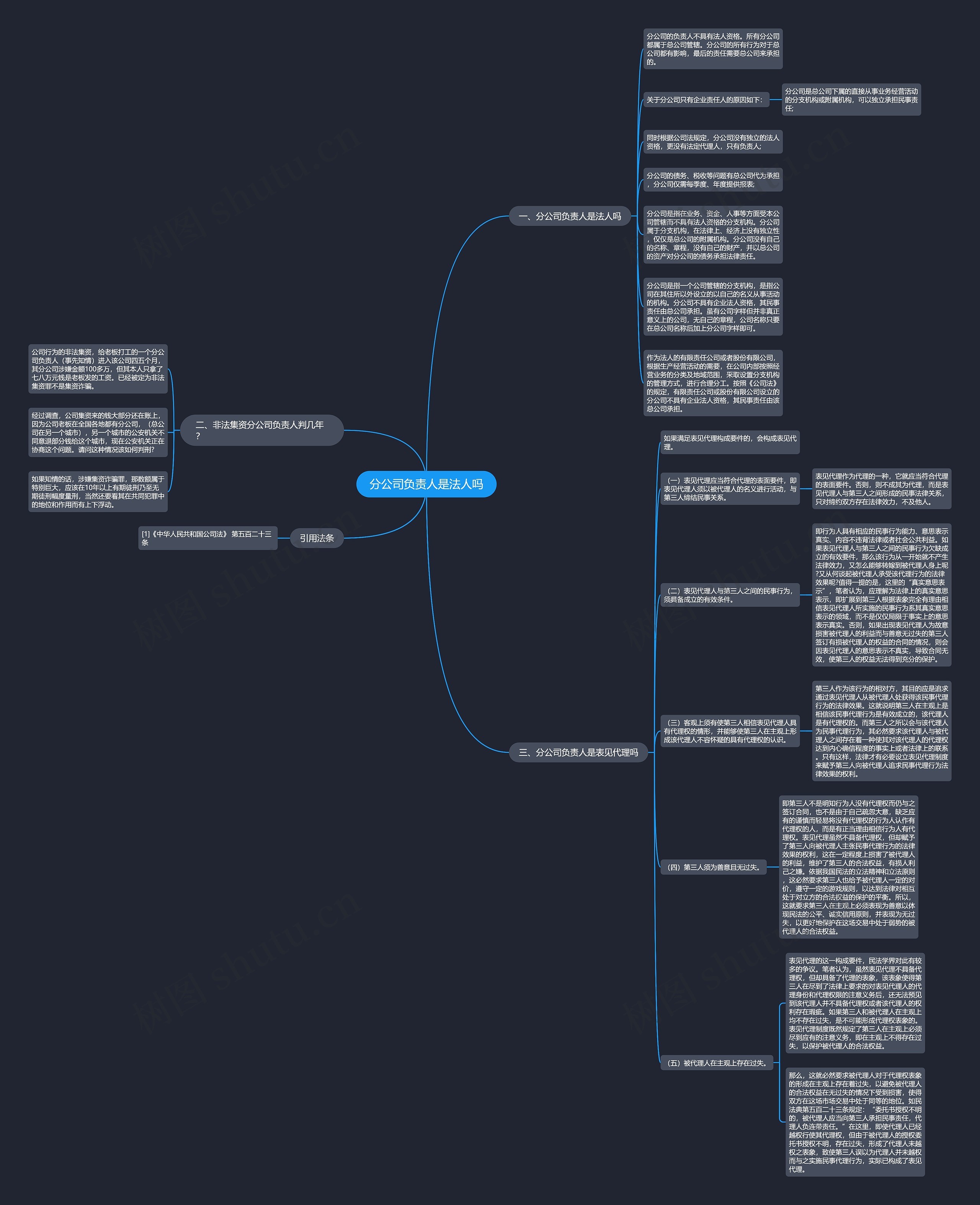 分公司负责人是法人吗思维导图