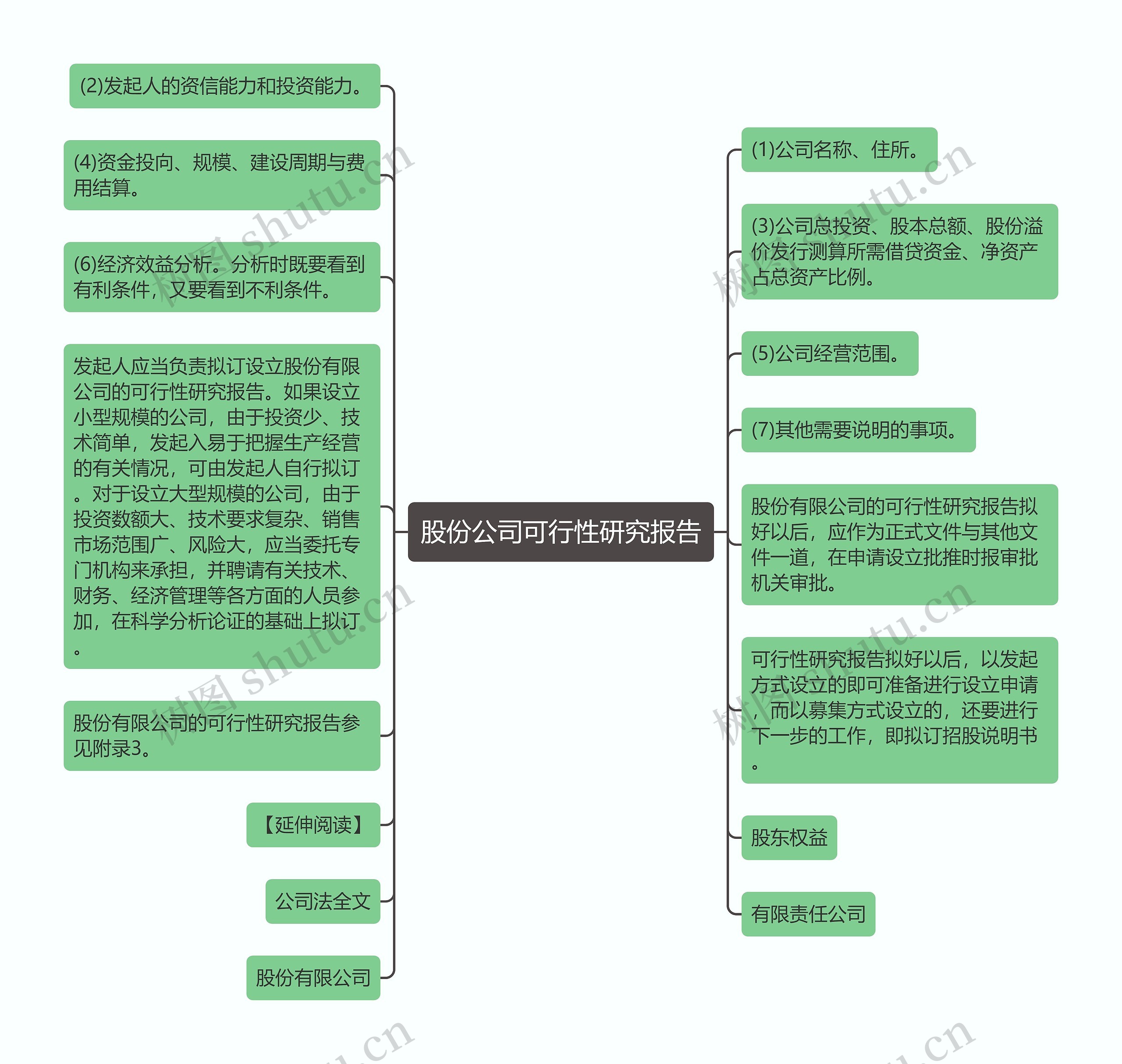 股份公司可行性研究报告