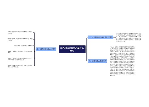 法人和法定代表人是什么意思