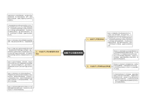 控股子公司是怎样的