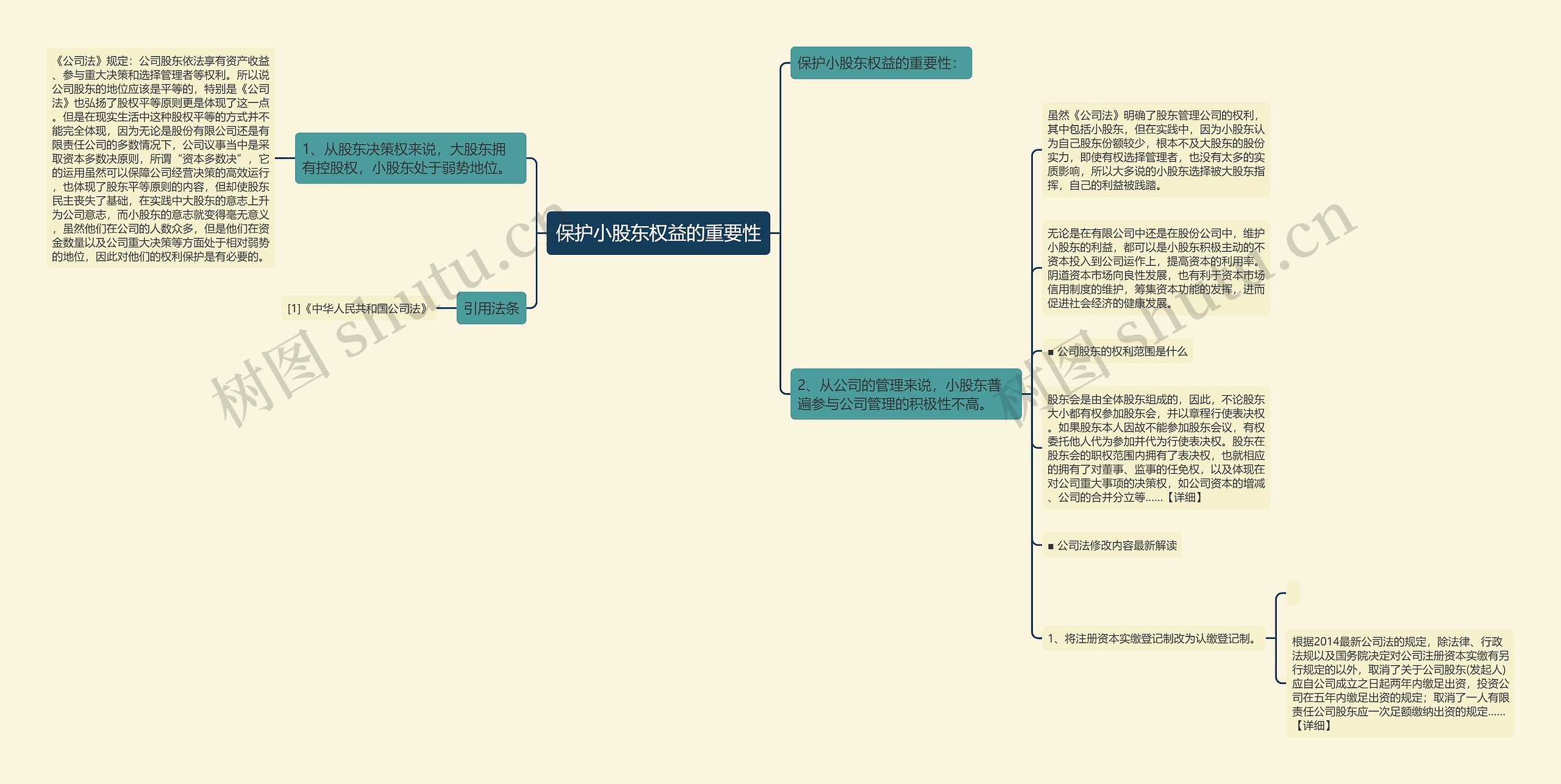 保护小股东权益的重要性思维导图