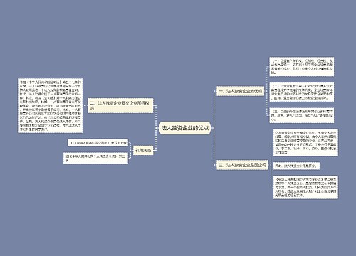 法人独资企业的优点