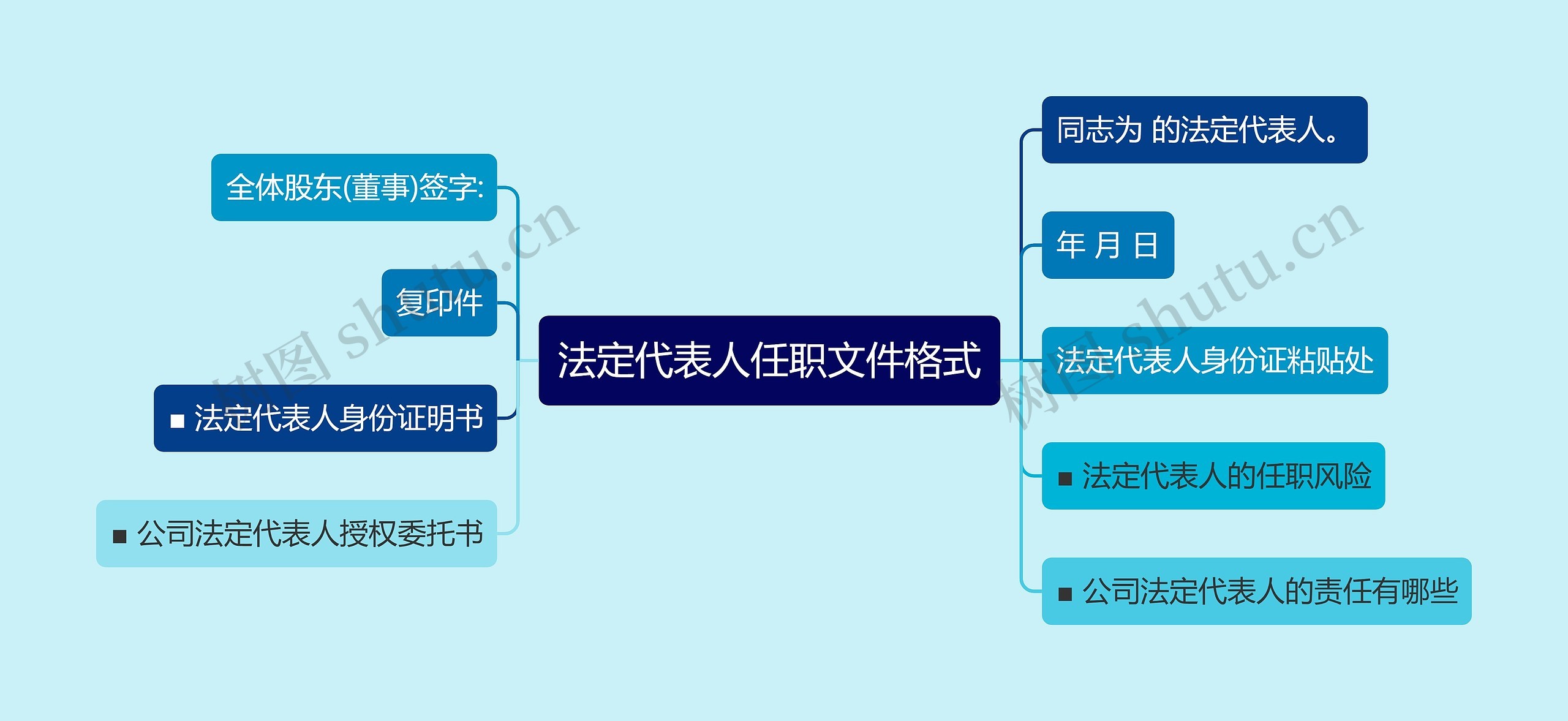 法定代表人任职文件格式