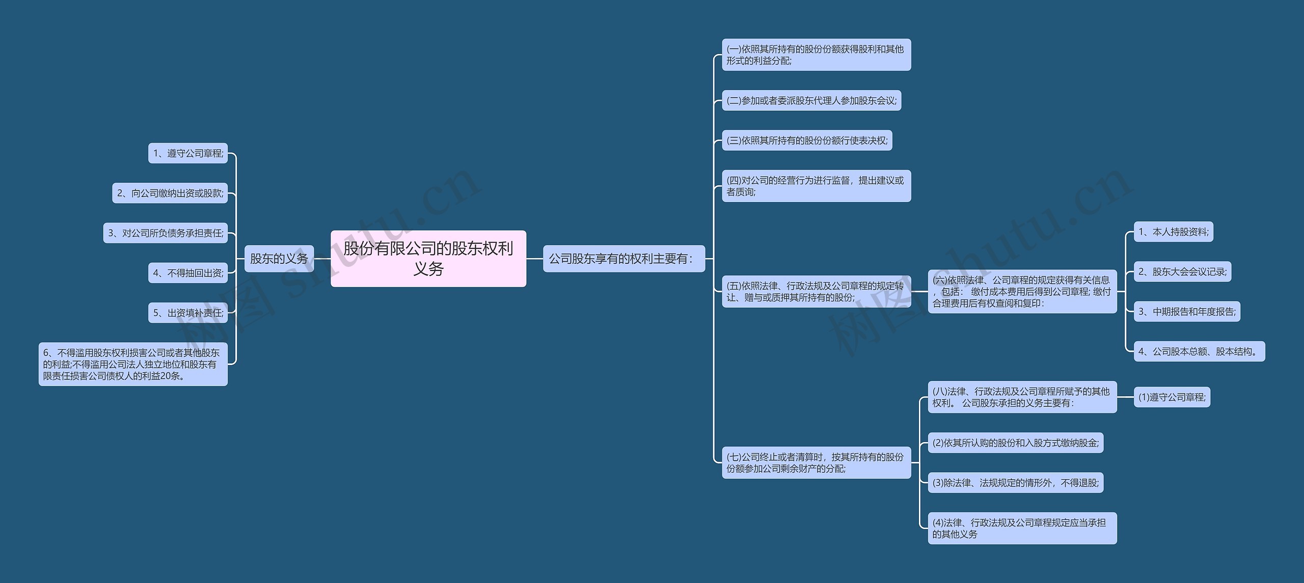 股份有限公司的股东权利义务