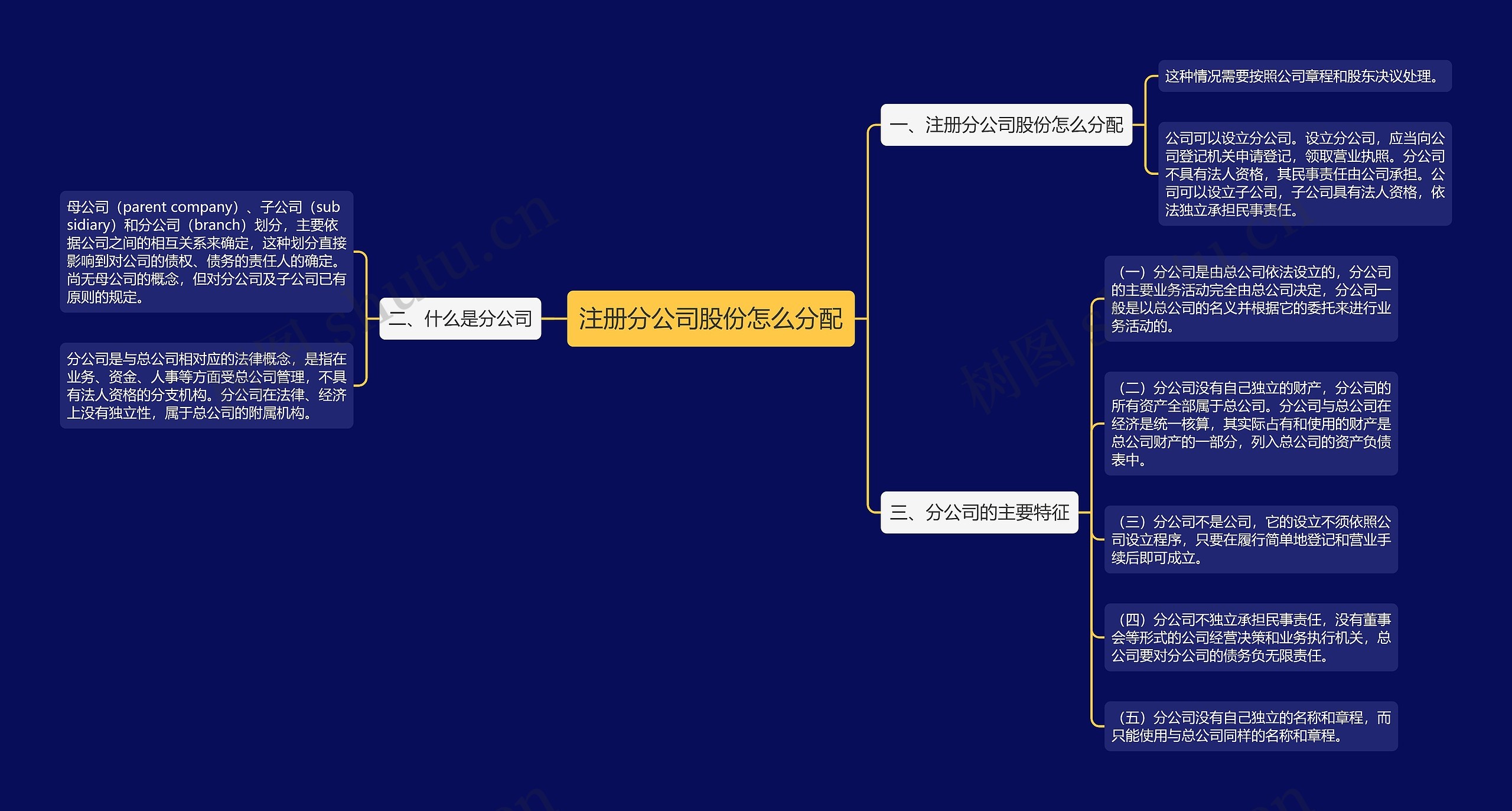 注册分公司股份怎么分配