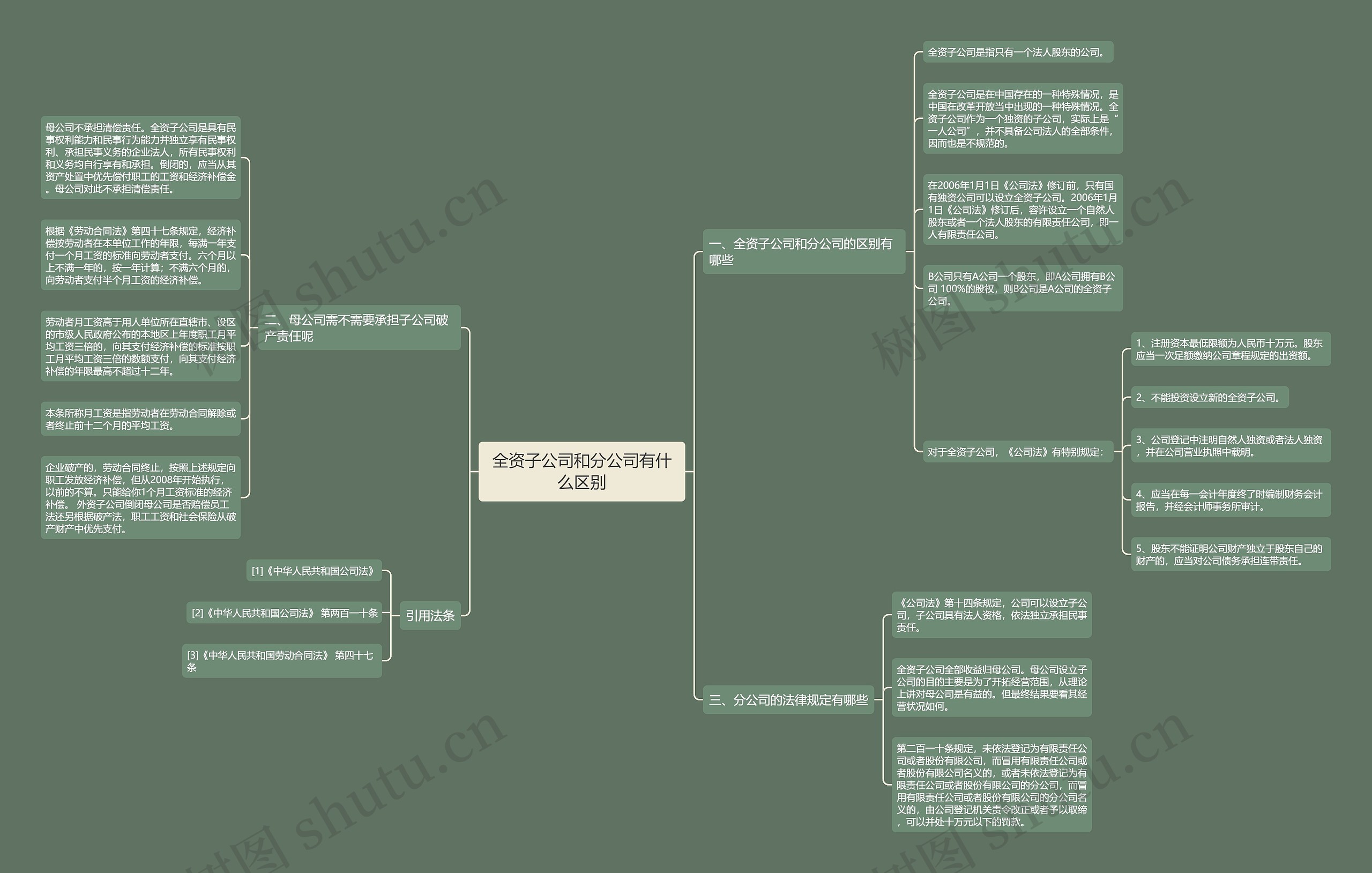 全资子公司和分公司有什么区别思维导图