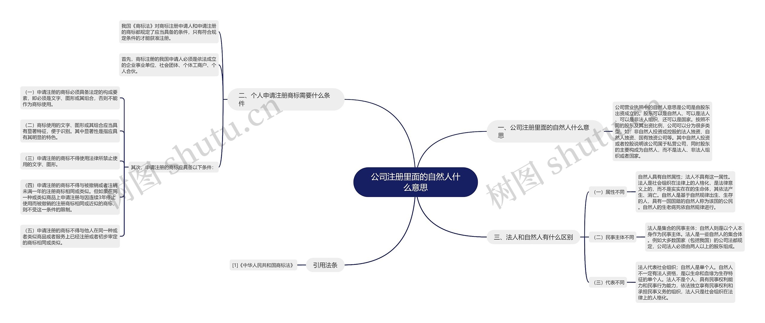 公司注册里面的自然人什么意思