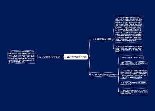 子公司管理办法有哪些