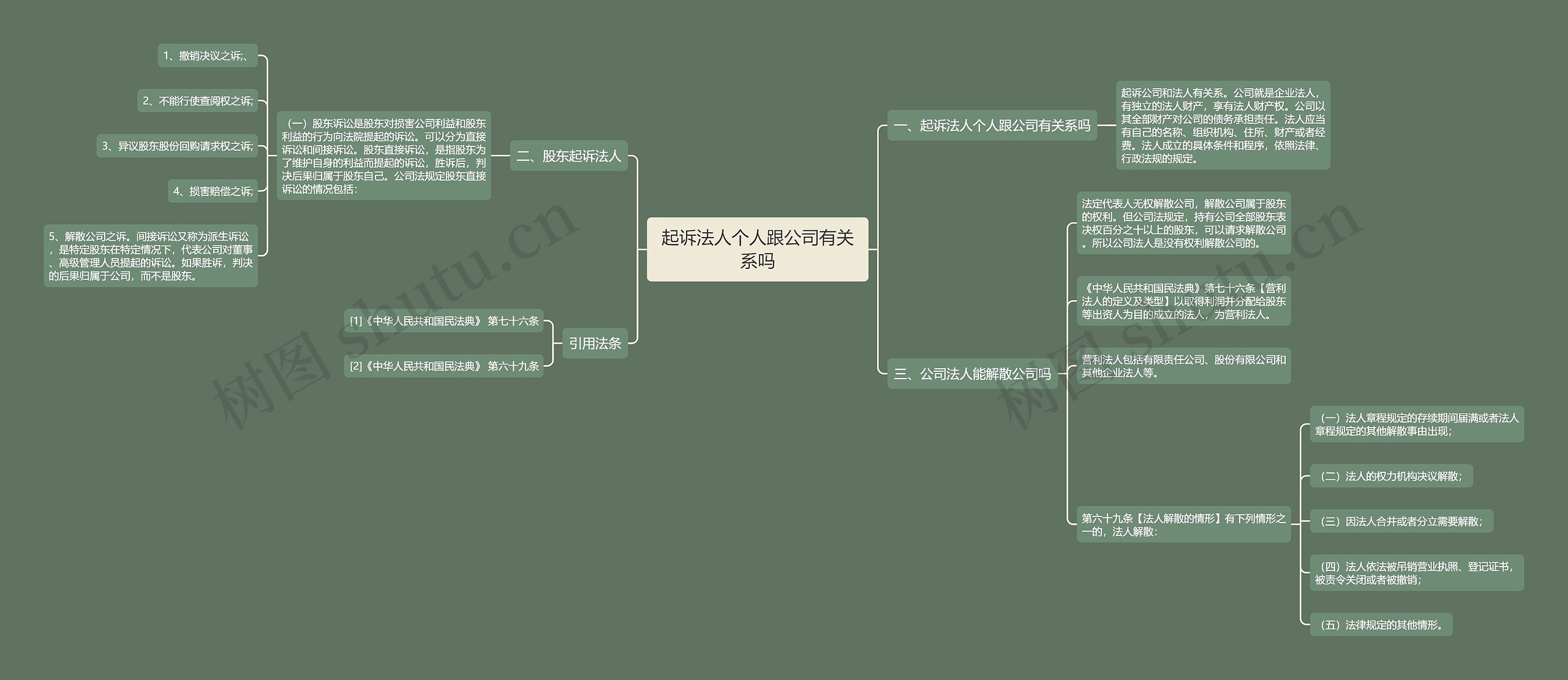 起诉法人个人跟公司有关系吗思维导图
