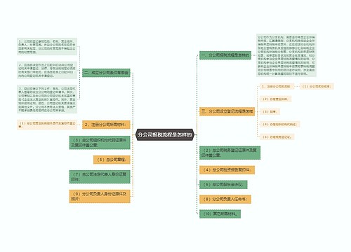 分公司报税流程是怎样的