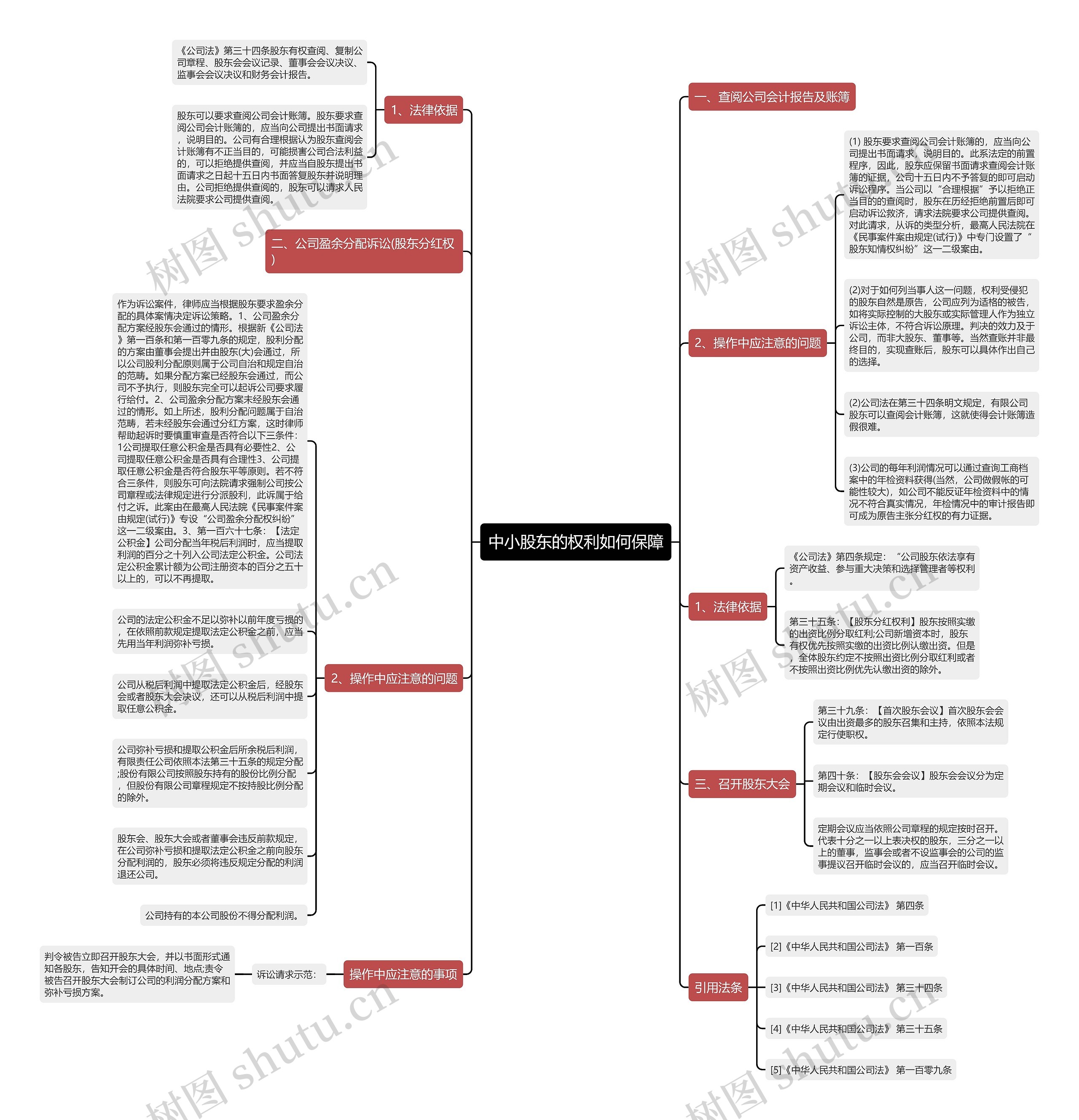 中小股东的权利如何保障思维导图
