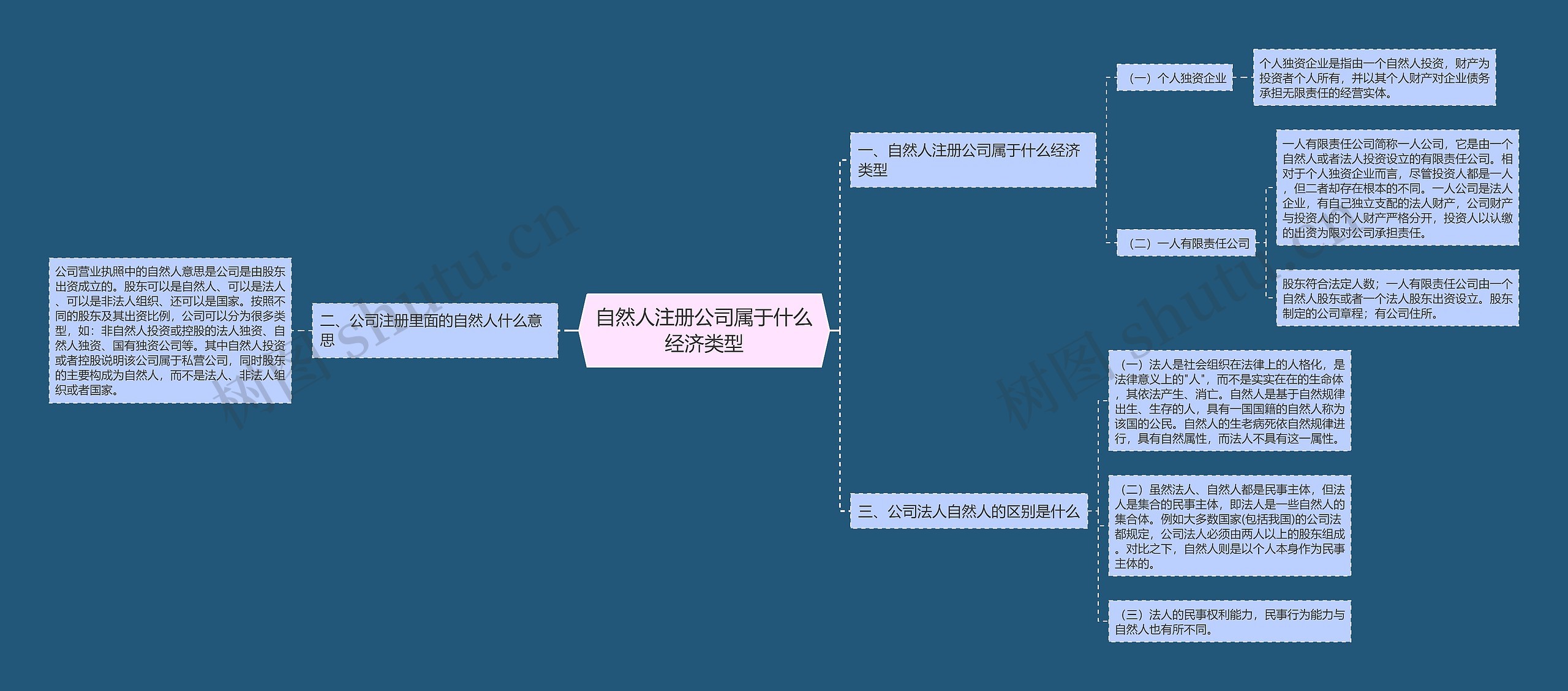 自然人注册公司属于什么经济类型