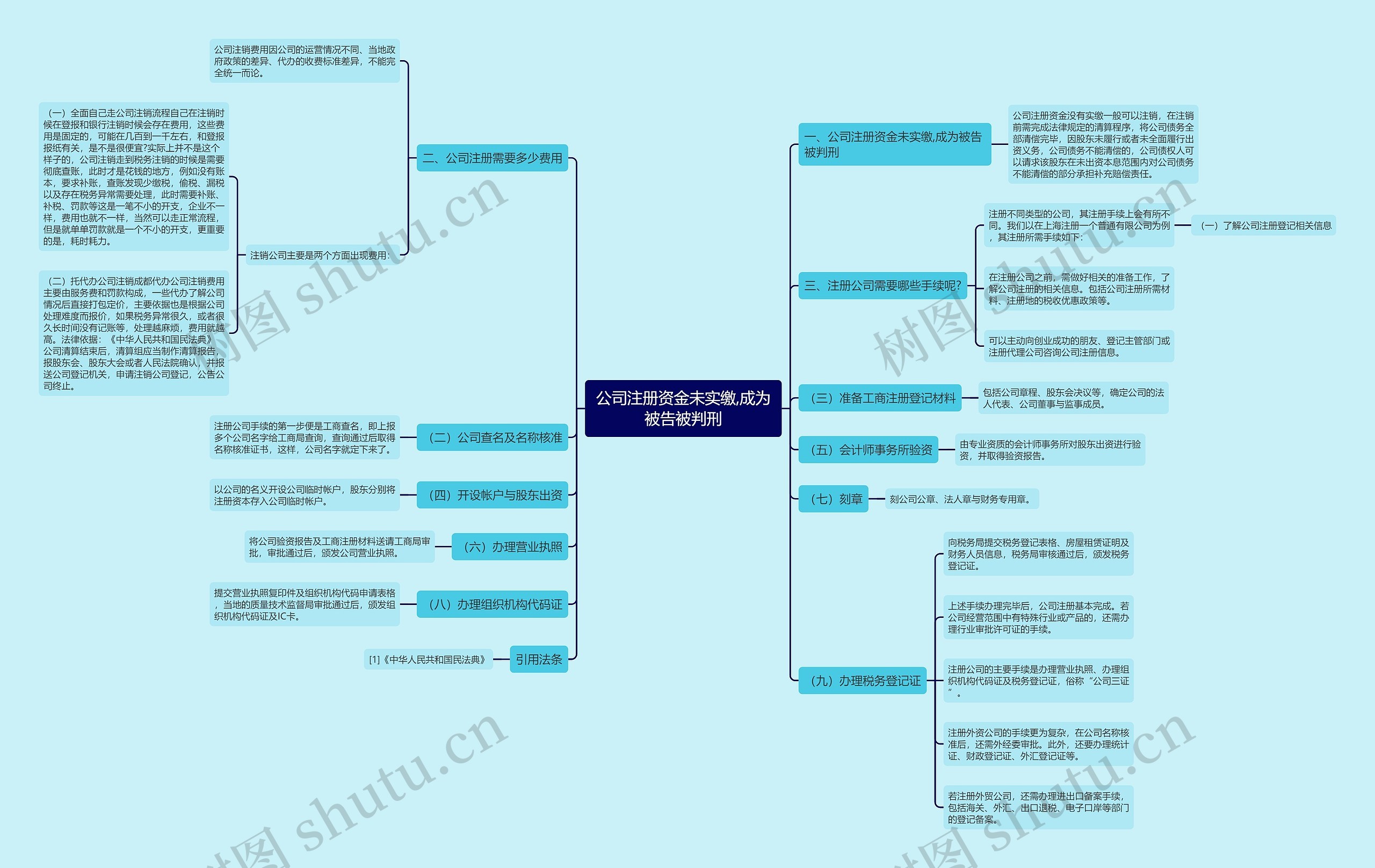 公司注册资金未实缴,成为被告被判刑