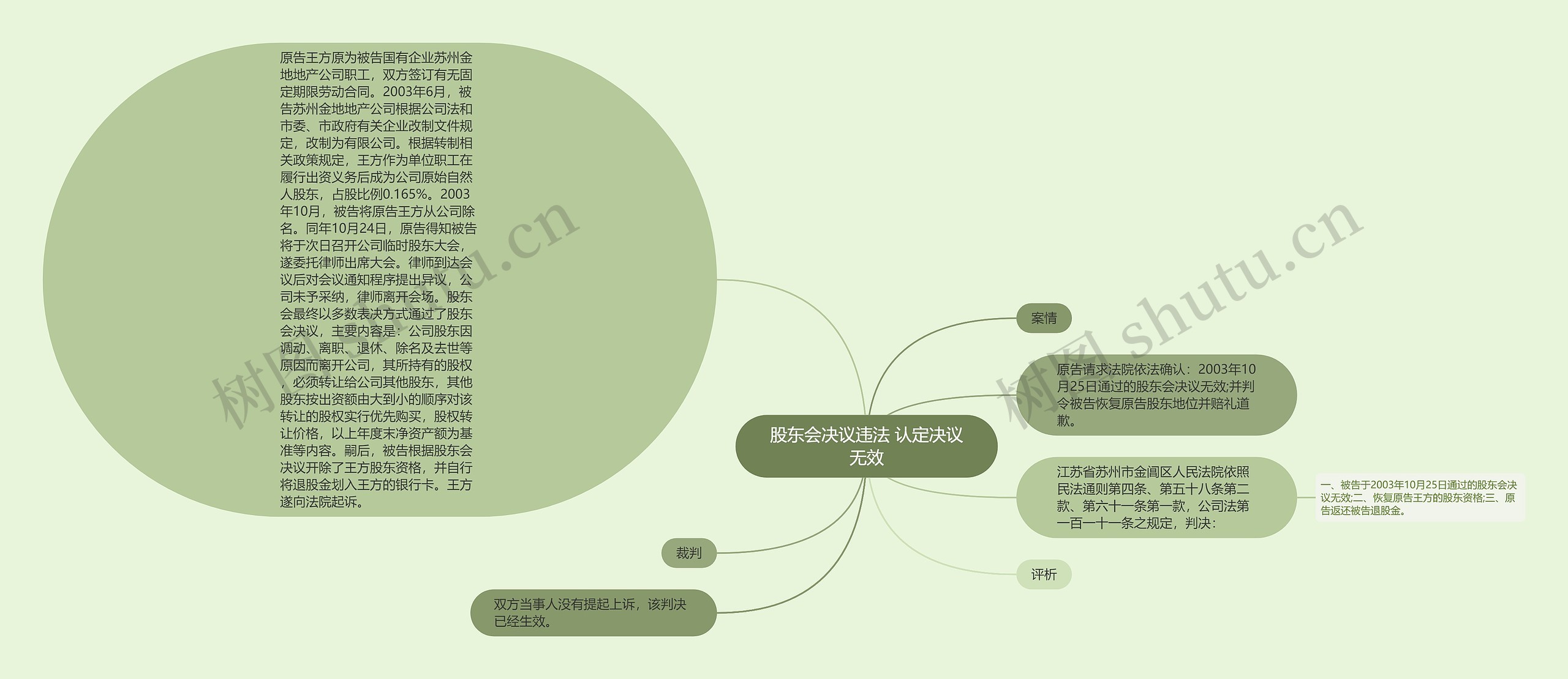 股东会决议违法 认定决议无效思维导图